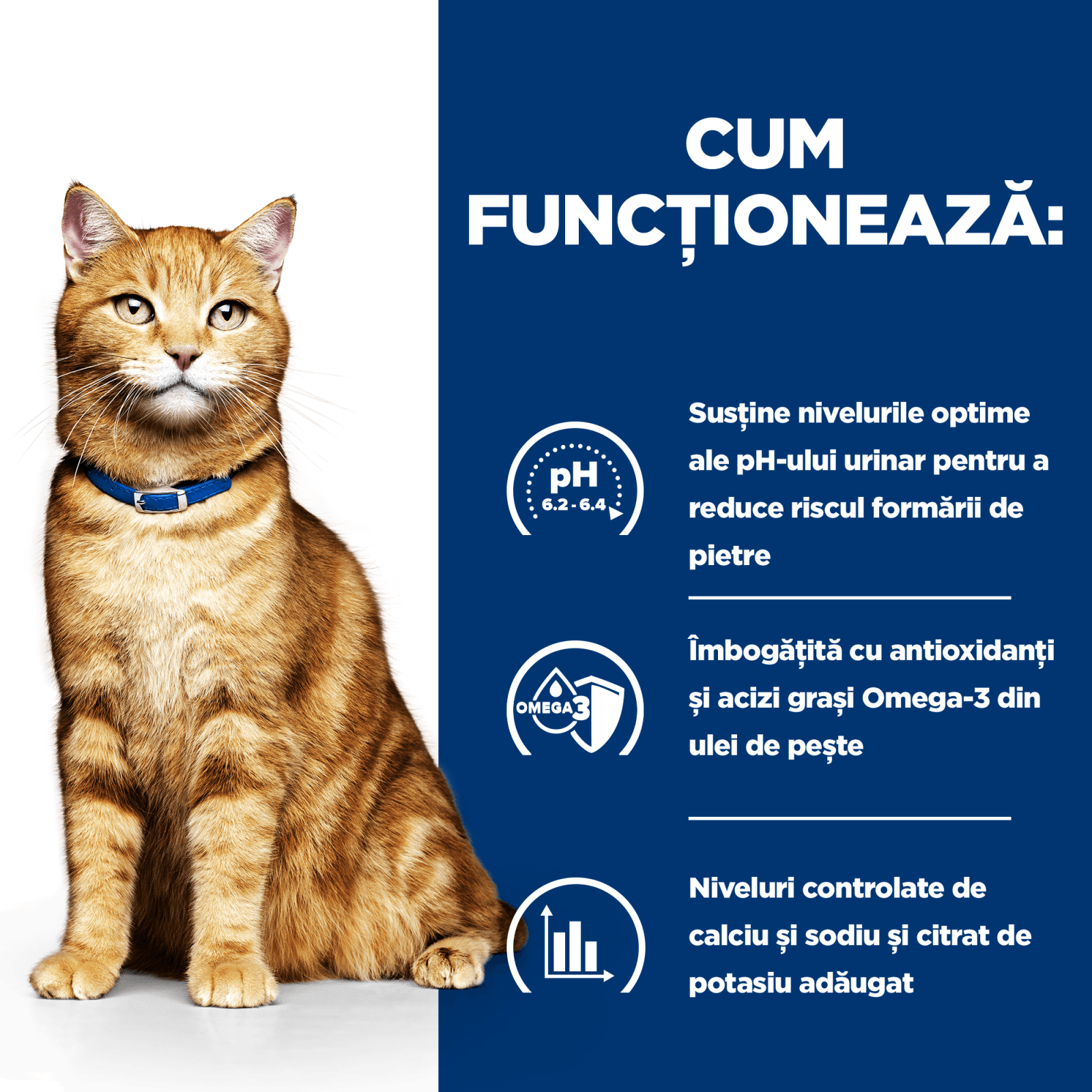 HILL'S Prescription Diet c/d Urinary, Pui cu Legume, dietă veterinară pisici, conservă hrană umedă, afecțiuni urinare HILL'S Prescription Diet c/d Urinary Care, Pui cu Legume, dietă veterinară pisici, conservă hrană umedă, sistem urinar, (î - poza 5