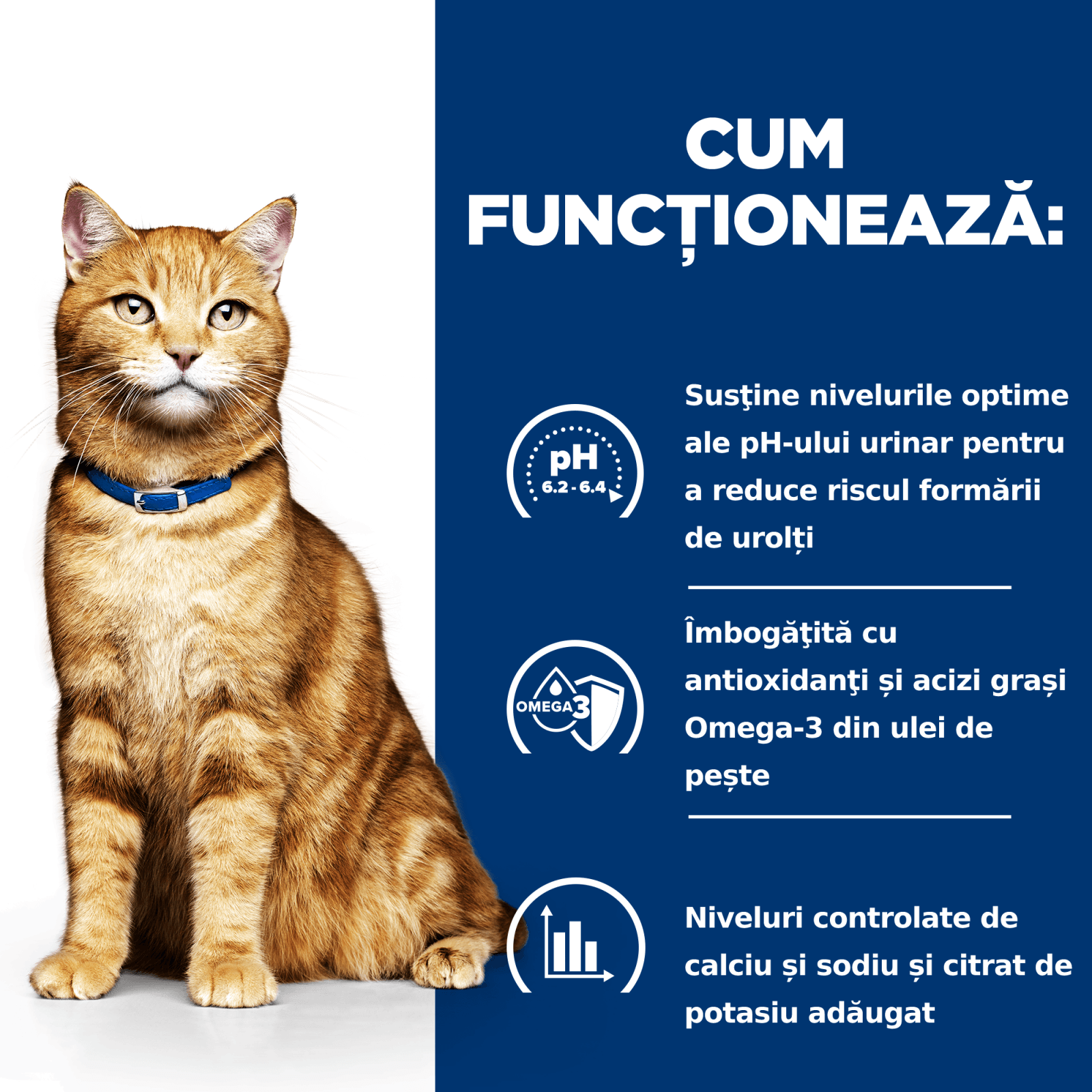 HILL'S Prescription Diet c/d Urinary, Pui, dietă veterinară pisici, hrană uscată, afecțiuni urinare HILL'S Prescription Diet c/d Urinary Care, Pui, dietă veterinară pisici, hrană uscată, sistem urinar, 1.5kg - poza 4