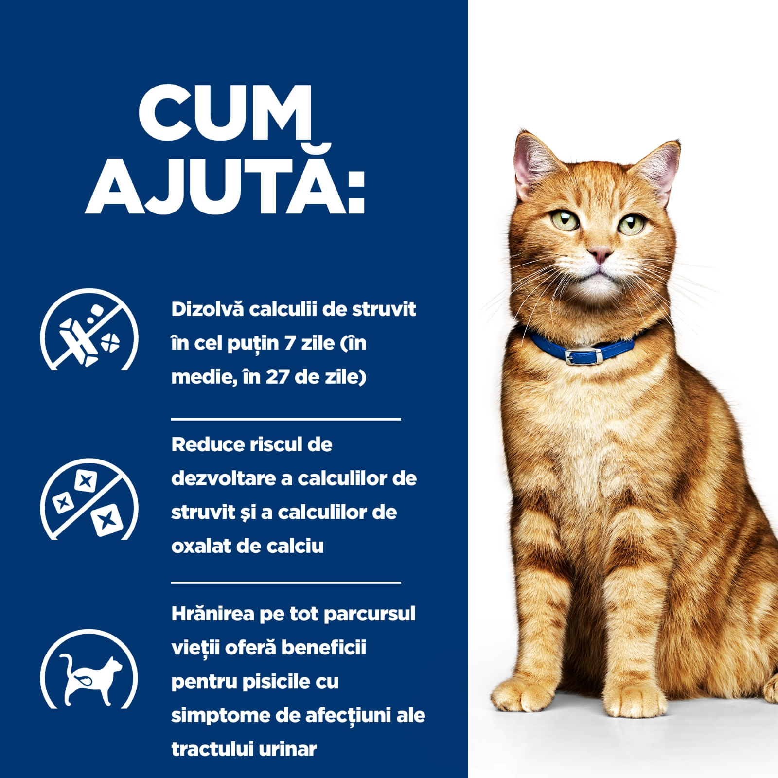 HILL'S Prescription Diet c/d Urinary, Somon, dietă veterinară pisici, plic hrană umedă, sistem urinar, 85g x 12buc - poza 4