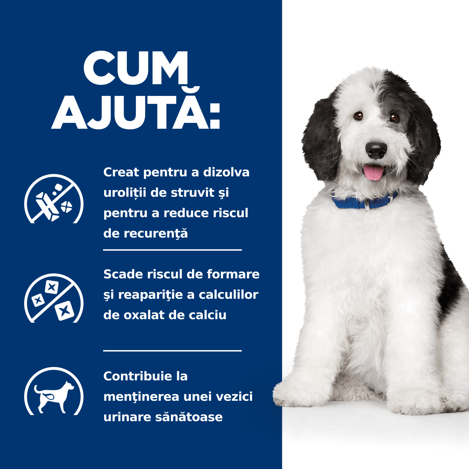 HILL'S Prescription Diet c/d Urinary + Weight Care, Pui, dietă veterinară câini, hrană uscată, afecțiuni urinare și controlul greutății HILL'S Prescription Diet c/d Urinary Care, Pui, dietă veterinară câini, hrană uscată, sistem urinar, 1.5 - poza 3