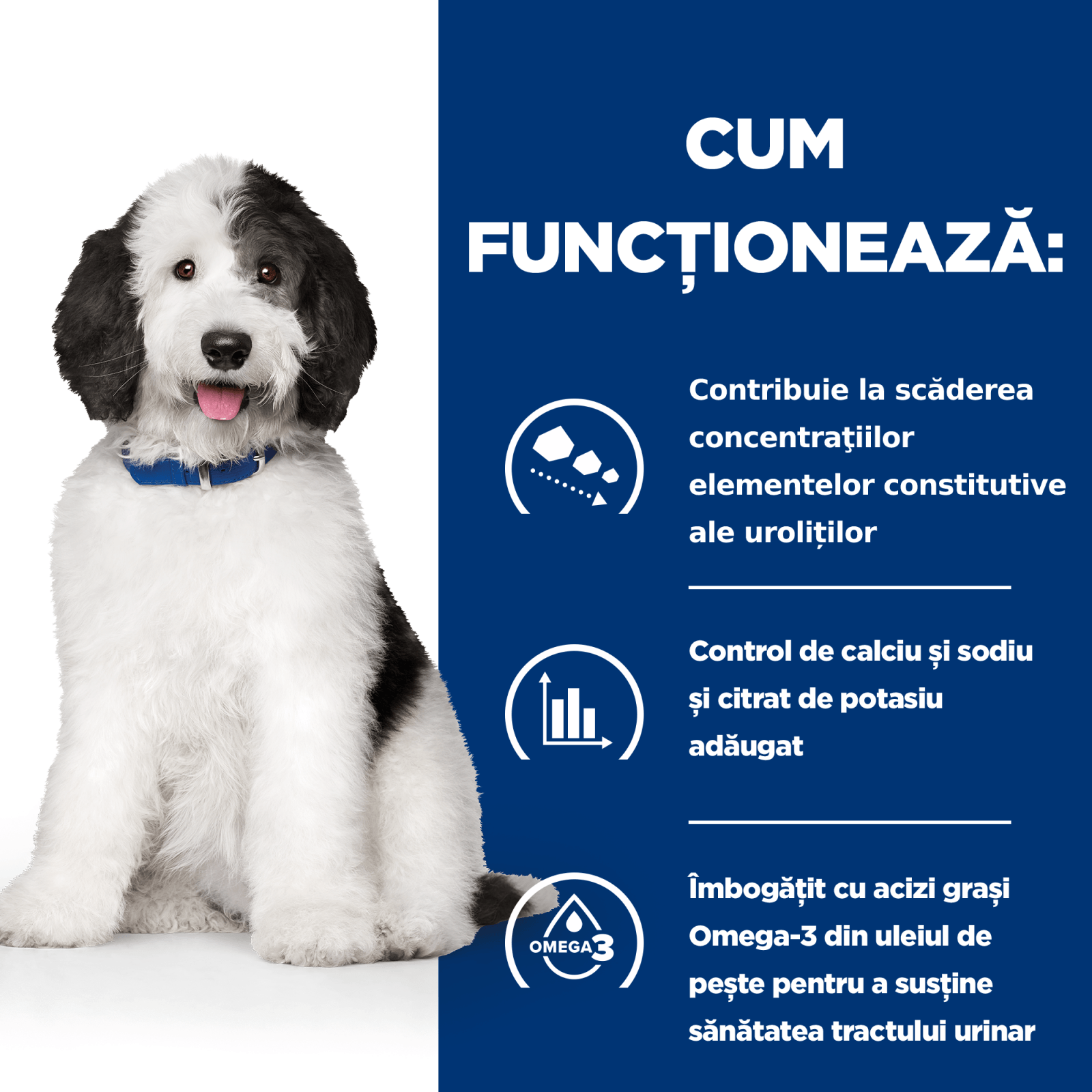 HILL'S Prescription Diet c/d Urinary + Weight Care, Pui, dietă veterinară câini, hrană uscată, afecțiuni urinare și controlul greutății HILL'S Prescription Diet c/d Urinary Care, Pui, dietă veterinară câini, hrană uscată, sistem urinar, 1.5 - poza 5