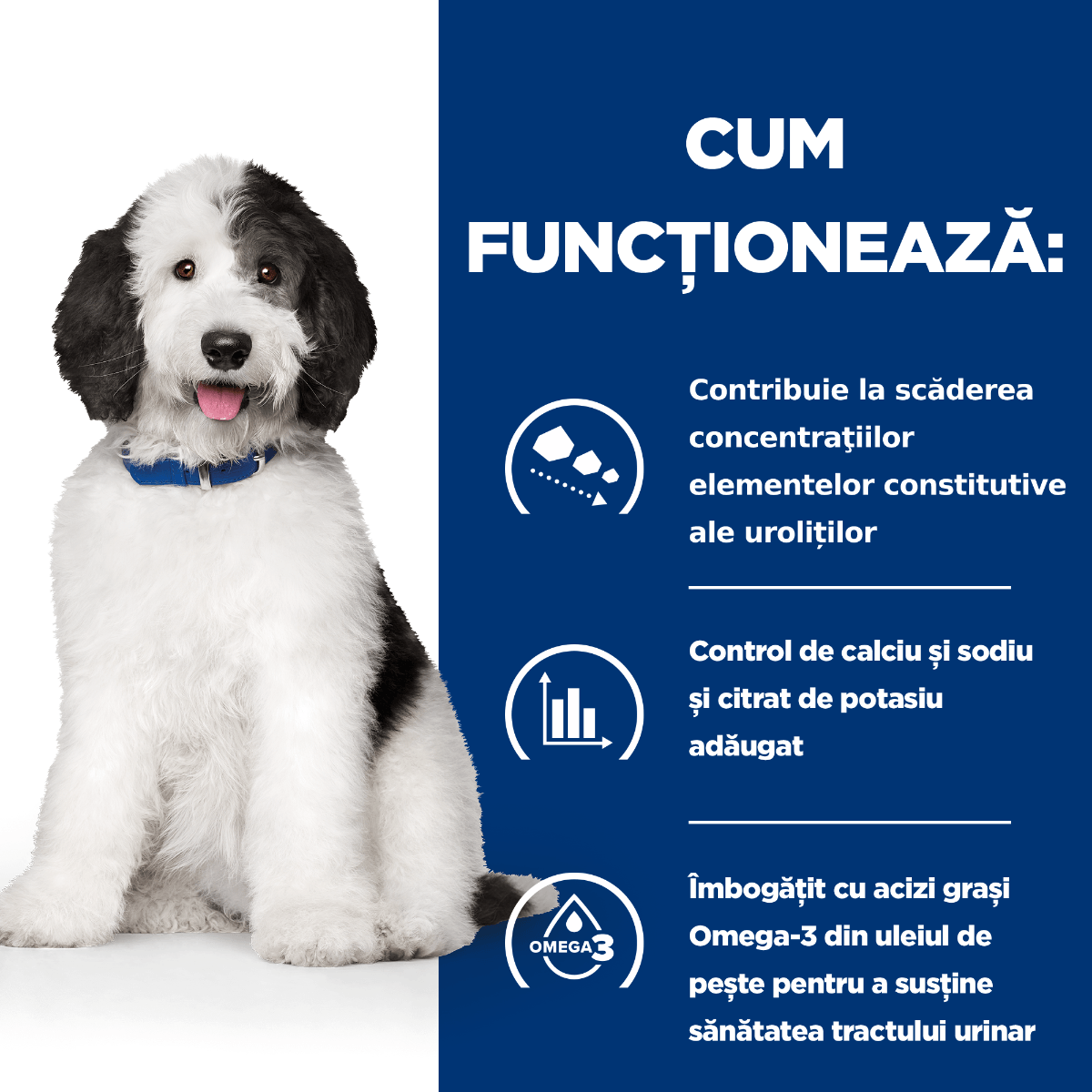 HILL'S Prescription Diet c/d + Weight Care, Pui cu Legume, dietă veterinară câini, conservă hrană umedă, sistem urinar și controlul greutății, 156g - poza 5