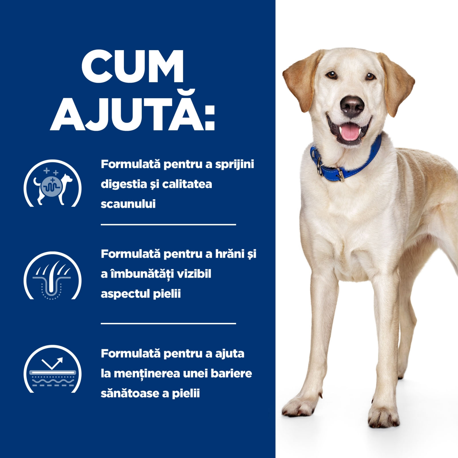 HILL'S Prescription Diet d/d Food Sensitivities, Rață cu Orez, dietă veterinară câini, hrană uscată, sensibilități digestive HILL'S Prescription Diet d/d Food Sensitivities, Rață cu Orez, dietă veterinară câini, hrană uscată, piele si blana - poza 5