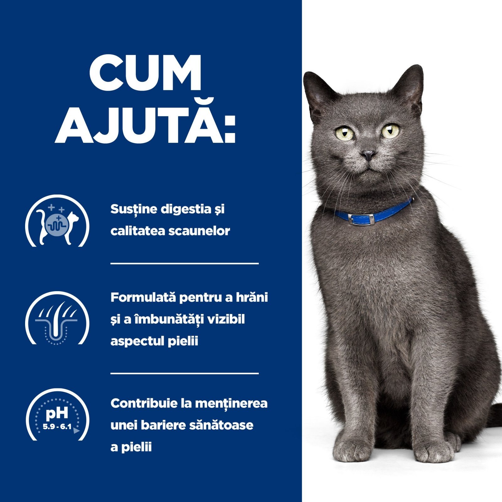 HILL'S Prescription Diet d/d, Rață cu Mazăre, dietă veterinară pisici, hrană uscată, sensibilități digestive HILL'S Prescription Diet d/d, Rață cu Mazăre, dietă veterinară pisici, hrană uscată, afecțiuni dermatologice și sistem digestiv, 1. - poza 4
