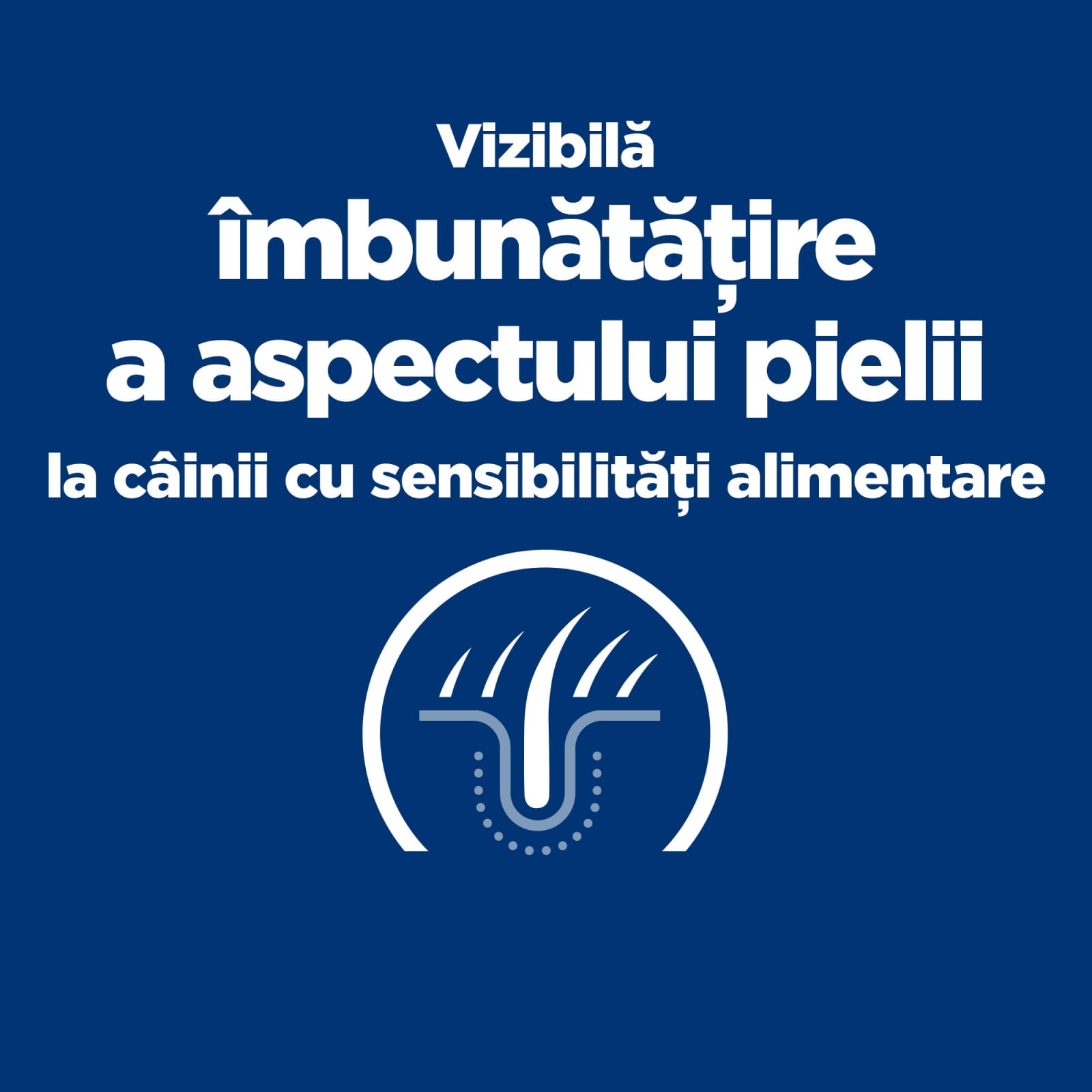 HILL'S Prescription Diet Derm Complete, dietă veterinară câini, hrană uscată, afecțiuni dermatologice HILL'S Prescription Diet Derm Complete, dietă veterinară câini, hrană uscată, piele & blana, 1.5kg - poza 3