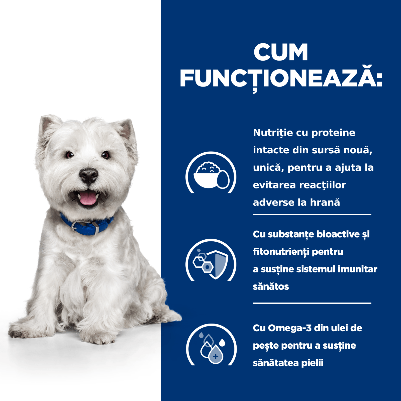 HILL'S Prescription Diet Derm Complete Mini, dietă veterinară câini, hrană uscată, afecțiuni dermatologice HILL'S Prescription Diet Derm Complete Mini, dietă veterinară câini, hrană uscată, piele & blana, 1kg - poza 4