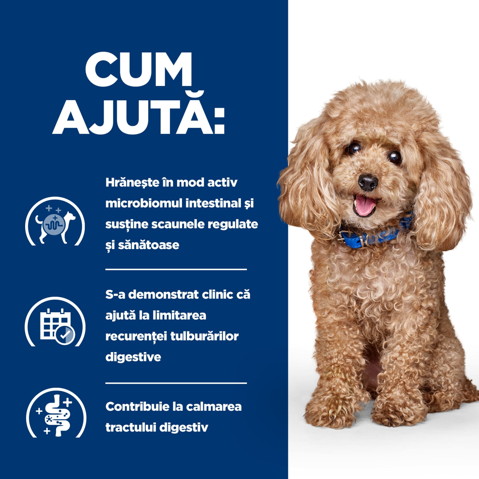 HILL'S Prescription Diet Gastrointestinal Biome Mini, Pui, dietă veterinară câini, hrană uscată, afecțiuni digestive HILL'S Prescription Diet Gastrointestinal Biome Mini, Pui, dietă veterinară câini, hrană uscată, sistem digestiv, 1kg - poza 4