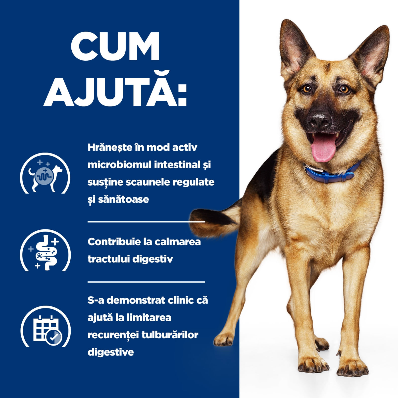 HILL'S Prescription Diet Gastrointestinal Biome, Pui cu Legume, dietă veterinară câini, conservă hrană umedă, sistem digestiv, 354g - poza 3