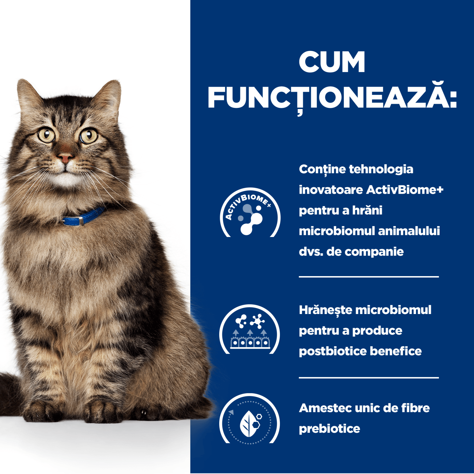 HILL'S Prescription Diet Gastrointestinal Biome, Pui cu Legume, dietă veterinară pisici, conservă hrană umedă, sistem digestiv, 82g - poza 4
