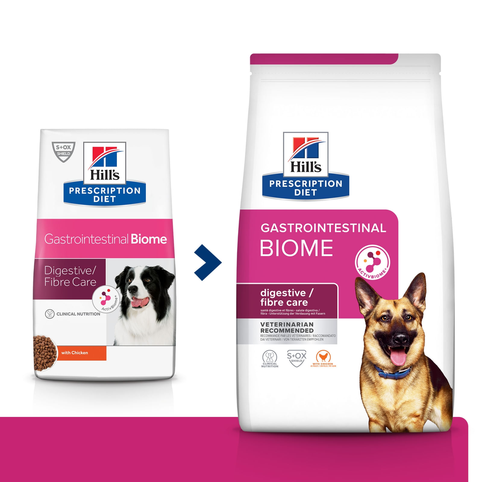 HILL'S Prescription Diet Gastrointestinal Biome, Pui, dietă veterinară câini, hrană uscată, afecțiuni digestive HILL'S Prescription Diet Gastrointestinal Biome, Pui, dietă veterinară câini, hrană uscată, sistem digestiv, 10kg - poza 1