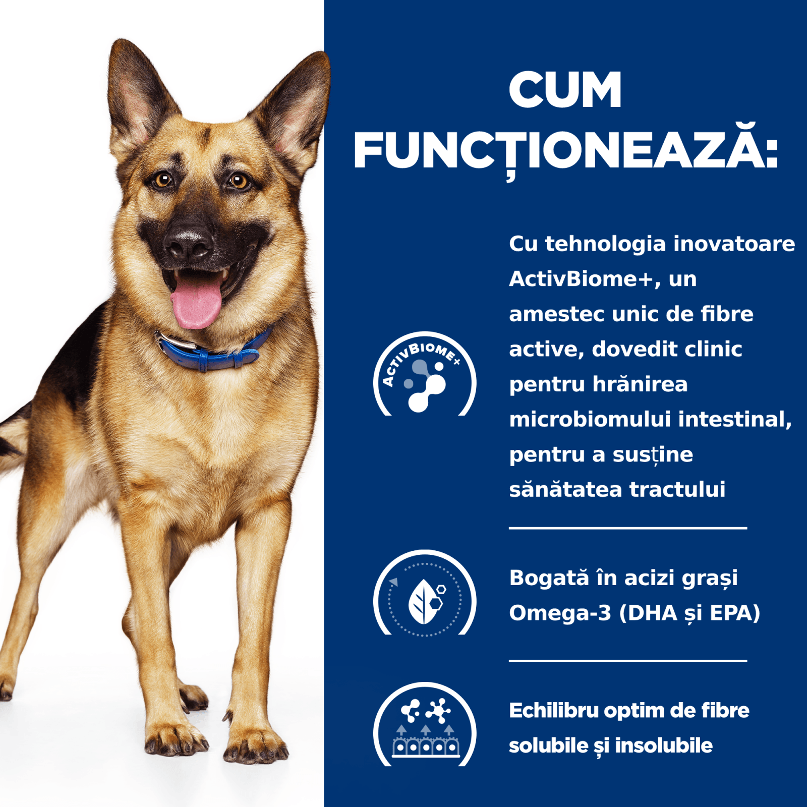 HILL'S Prescription Diet Gastrointestinal Biome, Pui, dietă veterinară câini, hrană uscată, afecțiuni digestive HILL'S Prescription Diet Gastrointestinal Biome, Pui, dietă veterinară câini, hrană uscată, sistem digestiv, 10kg - poza 4