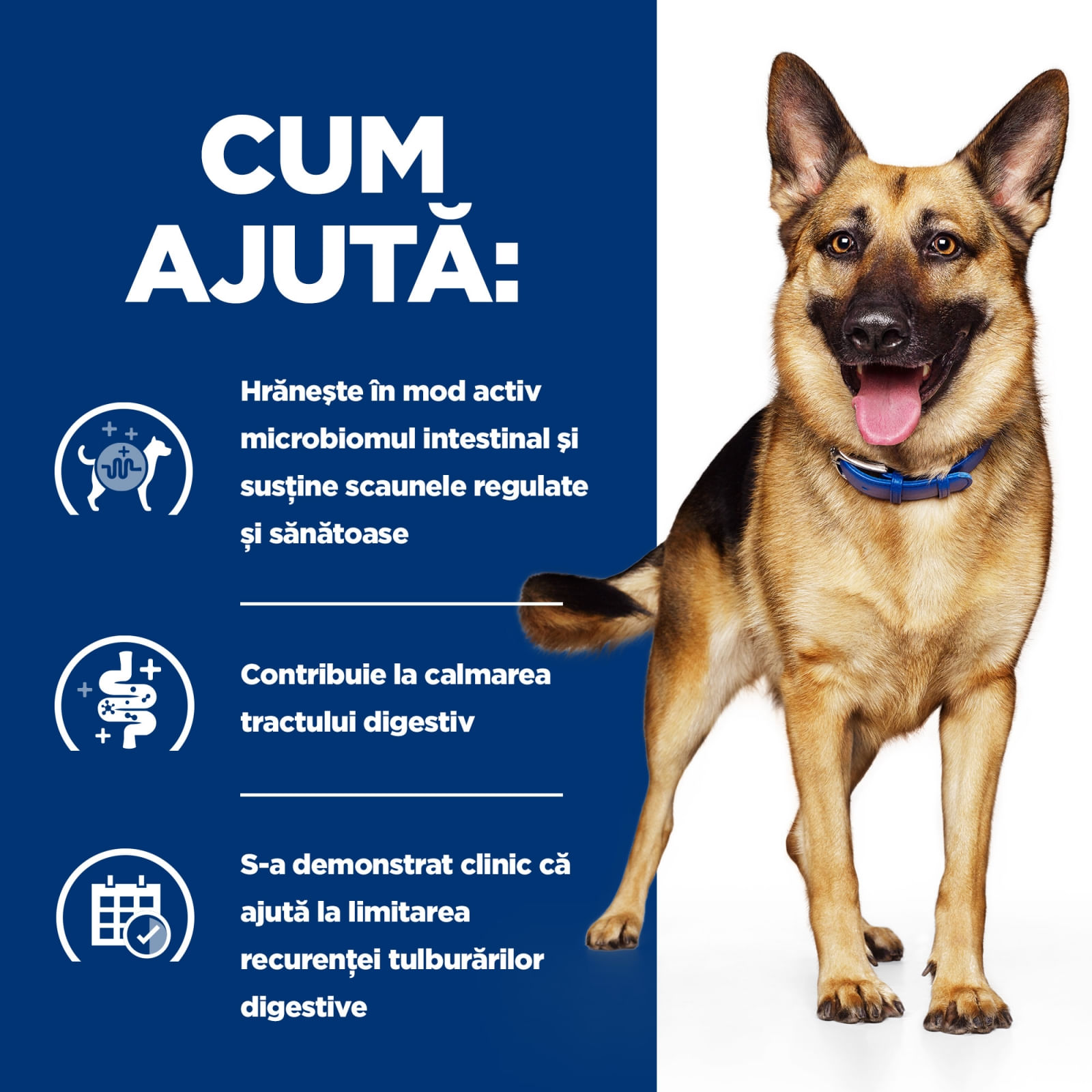 HILL'S Prescription Diet Gastrointestinal Biome, Pui, dietă veterinară câini, hrană uscată, afecțiuni digestive HILL'S Prescription Diet Gastrointestinal Biome, Pui, dietă veterinară câini, hrană uscată, sistem digestiv, 10kg - poza 5