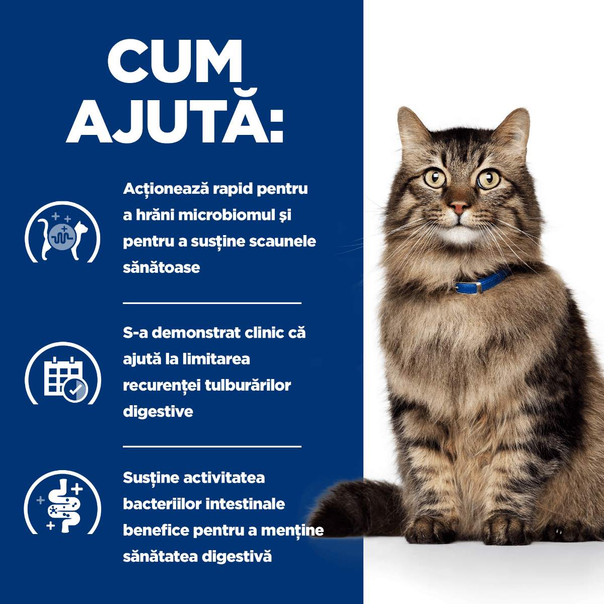 HILL'S Prescription Diet Gastrointestinal Biome Pui, dietă veterinară, plic hrană umedă pisici, sistem digestiv & probiotice, bax, 85g x 12buc - poza 2