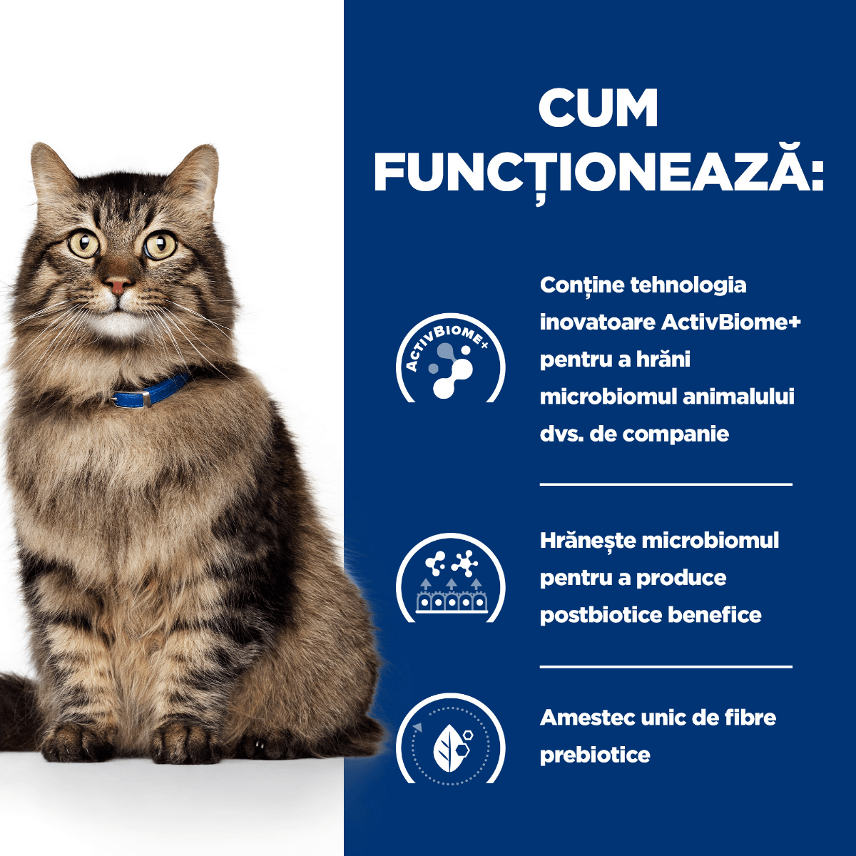 HILL'S Prescription Diet Gastrointestinal Biome Pui, dietă veterinară, plic hrană umedă pisici, sistem digestiv & probiotice, bax, 85g x 12buc - poza 5