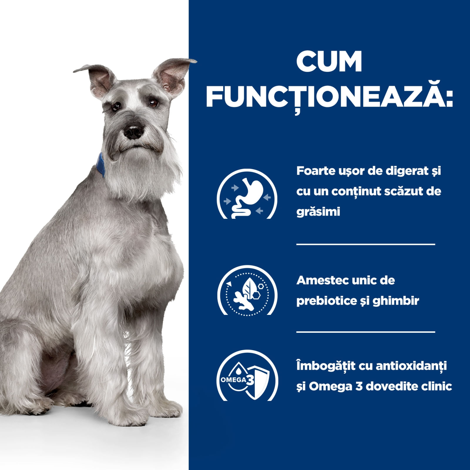 HILL'S Prescription Diet i/d Digestive Care Low Fat, Pui cu Legume, dietă veterinară câini, conservă hrană umedă, sensibilități digestive HILL'S Prescription Diet i/d Digestive Care Low Fat, Pui cu Legume, dietă veterinară câini, conservă h - poza 3