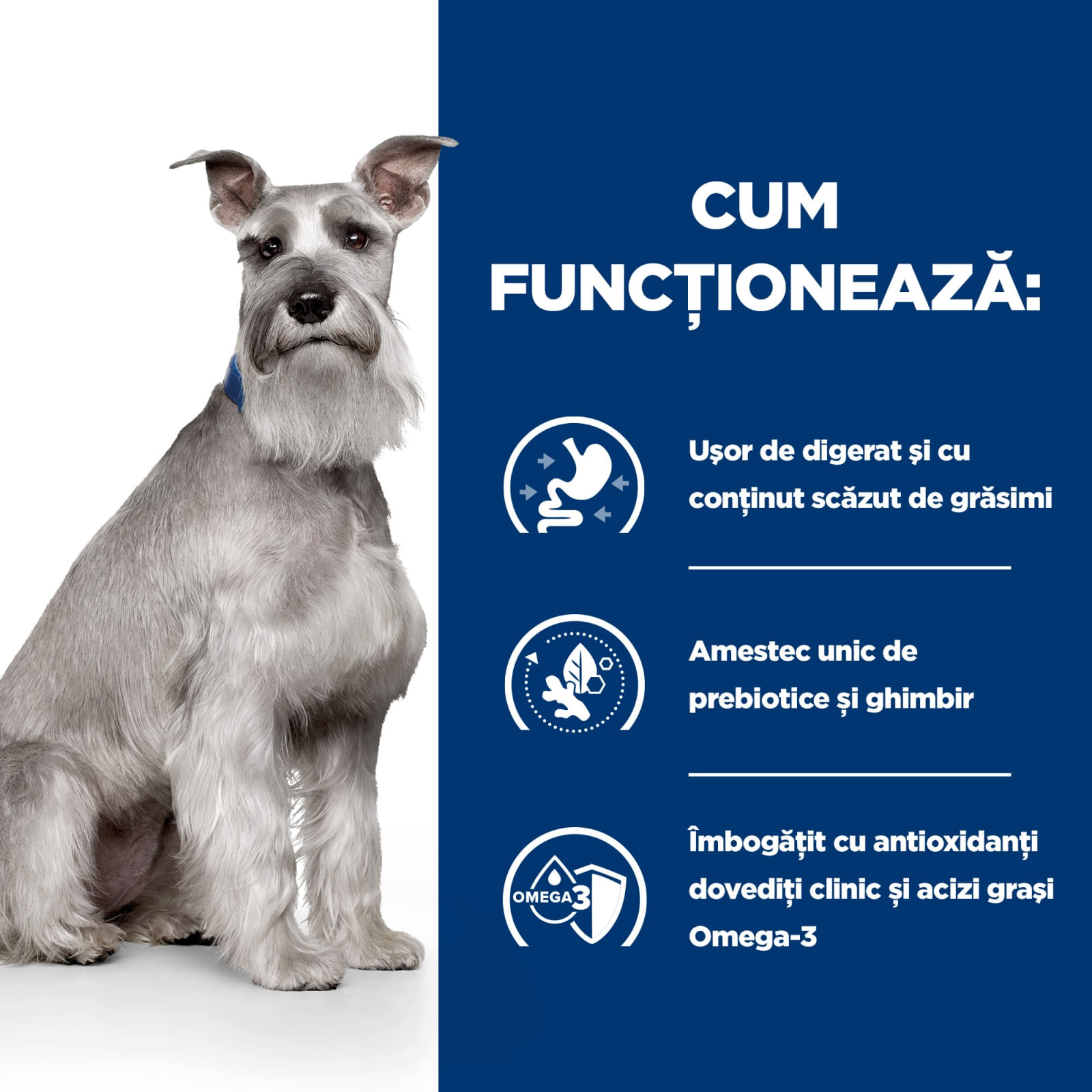 HILL'S Prescription Diet i/d Digestive Care Low Fat, Pui, dietă veterinară câini, hrană uscată, sensibilități digestive HILL'S Prescription Diet i/d Digestive Care Low Fat, Pui, dietă veterinară câini, hrană uscată, sistem digestiv, 1.5kg - poza 5
