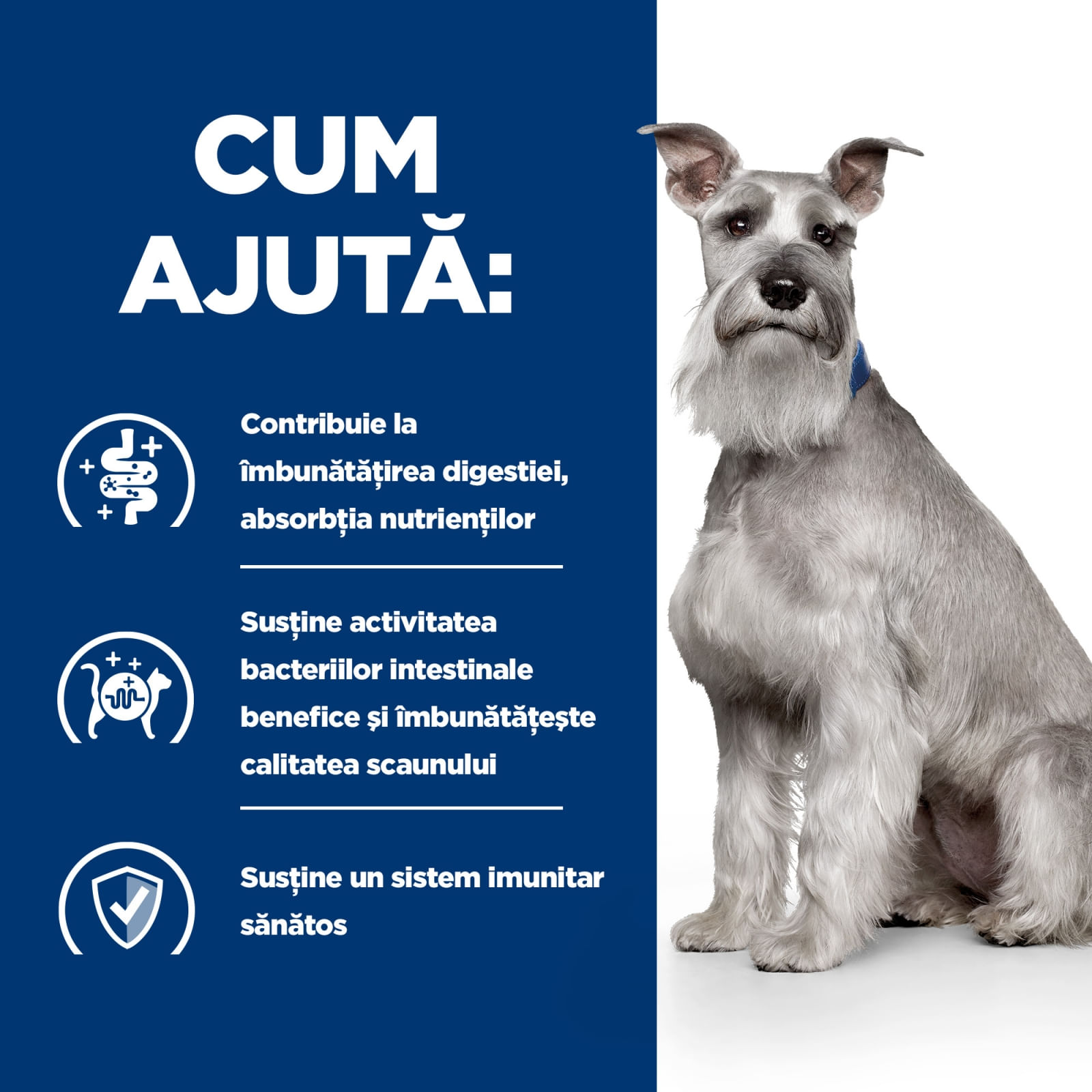 HILL'S Prescription Diet i/d Digestive Care Low Fat, Pui, dietă veterinară câini, hrană uscată, sensibilități digestive HILL'S Prescription Diet i/d Digestive Care Low Fat, Pui, dietă veterinară câini, hrană uscată, sistem digestiv, 4kg - poza 5