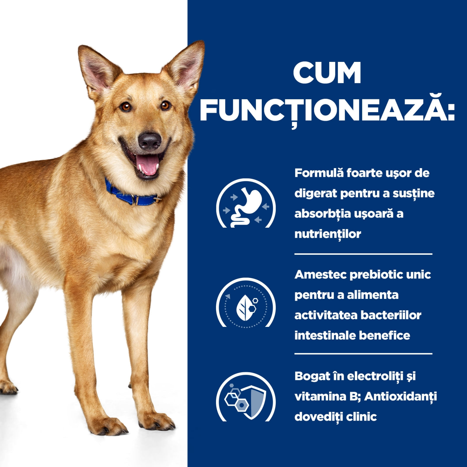 HILL'S Prescription Diet i/d Digestive Care, Pui cu Legume, dietă veterinară câini, conservă hrană umedă, sensibilități digestive HILL'S Prescription Diet i/d Digestive Care, Pui cu Legume, dietă veterinară câini, conservă hrană umedă, sist - poza 4