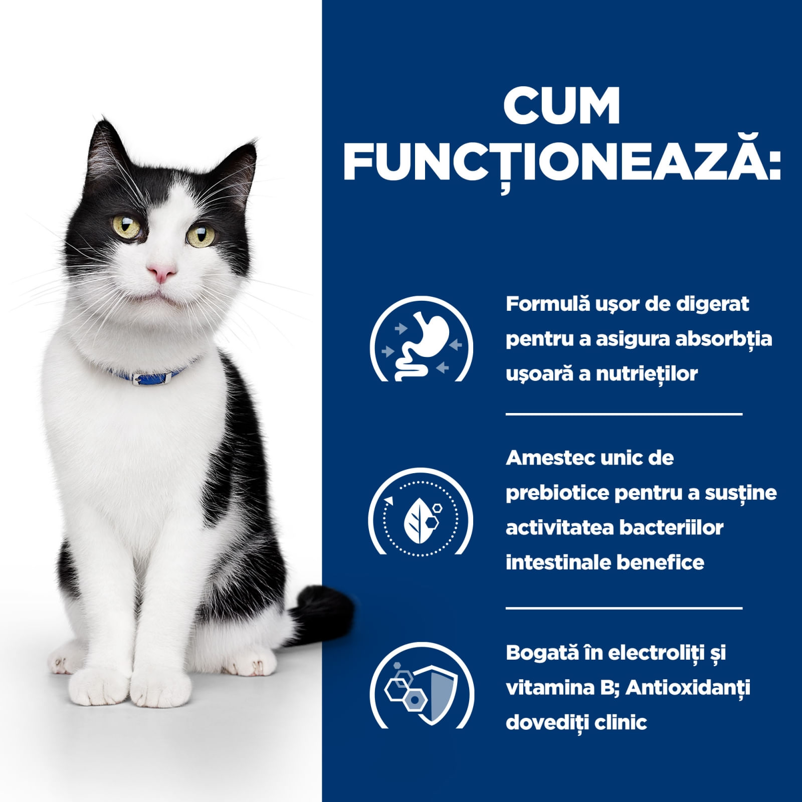 HILL'S Prescription Diet i/d Sensitive Digestive Care, Pui, dietă veterinară pisici, conservă hrană umedă, sistem digestiv, 156g - poza 3