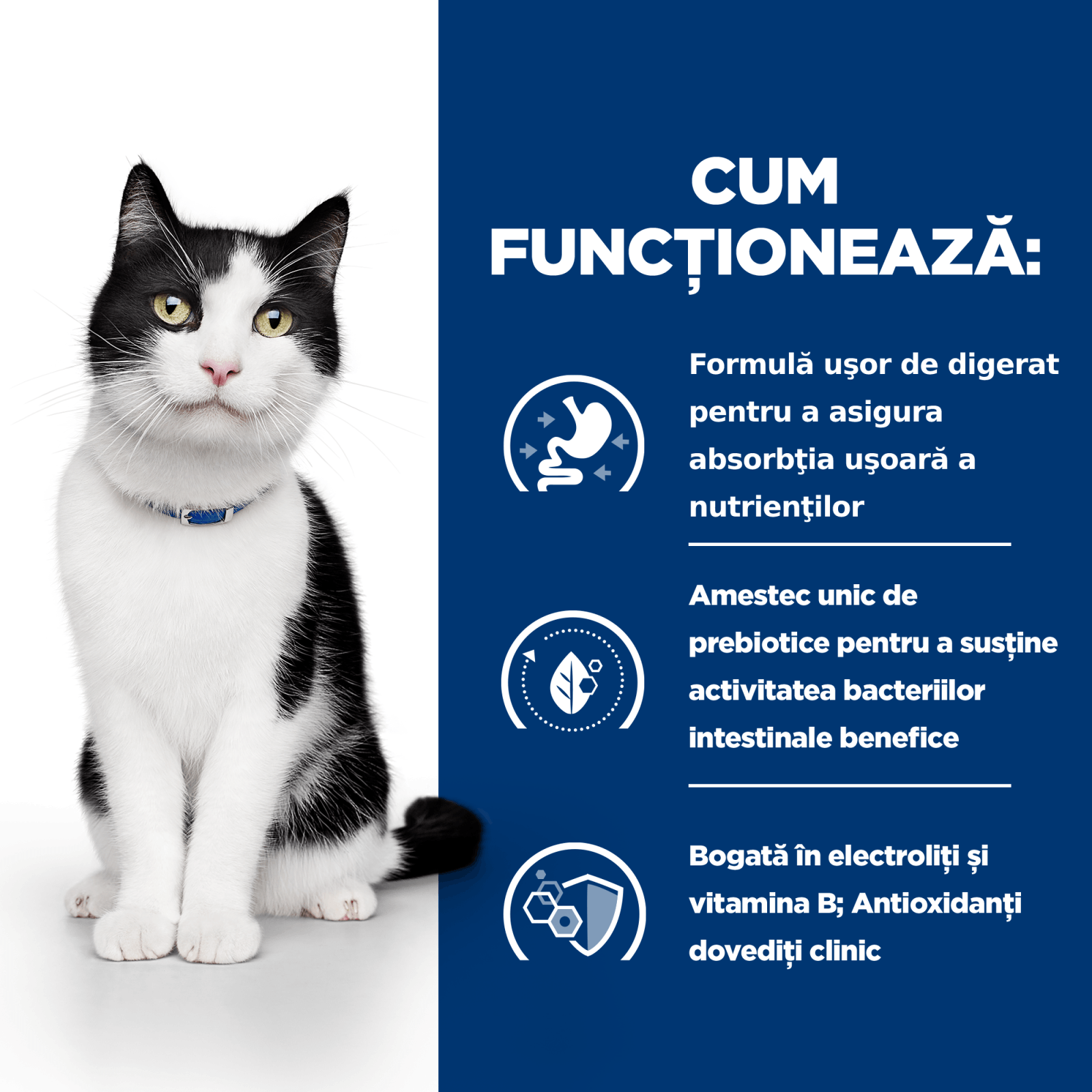 HILL'S Prescription Diet i/d Sensitive Digestive Care, Pui, dietă veterinară pisici, hrană uscată, sensibilități digestive HILL'S Prescription Diet i/d Sensitive Digestive Care, Pui, dietă veterinară pisici, hrană uscată, sistem digestiv, 1 - poza 3