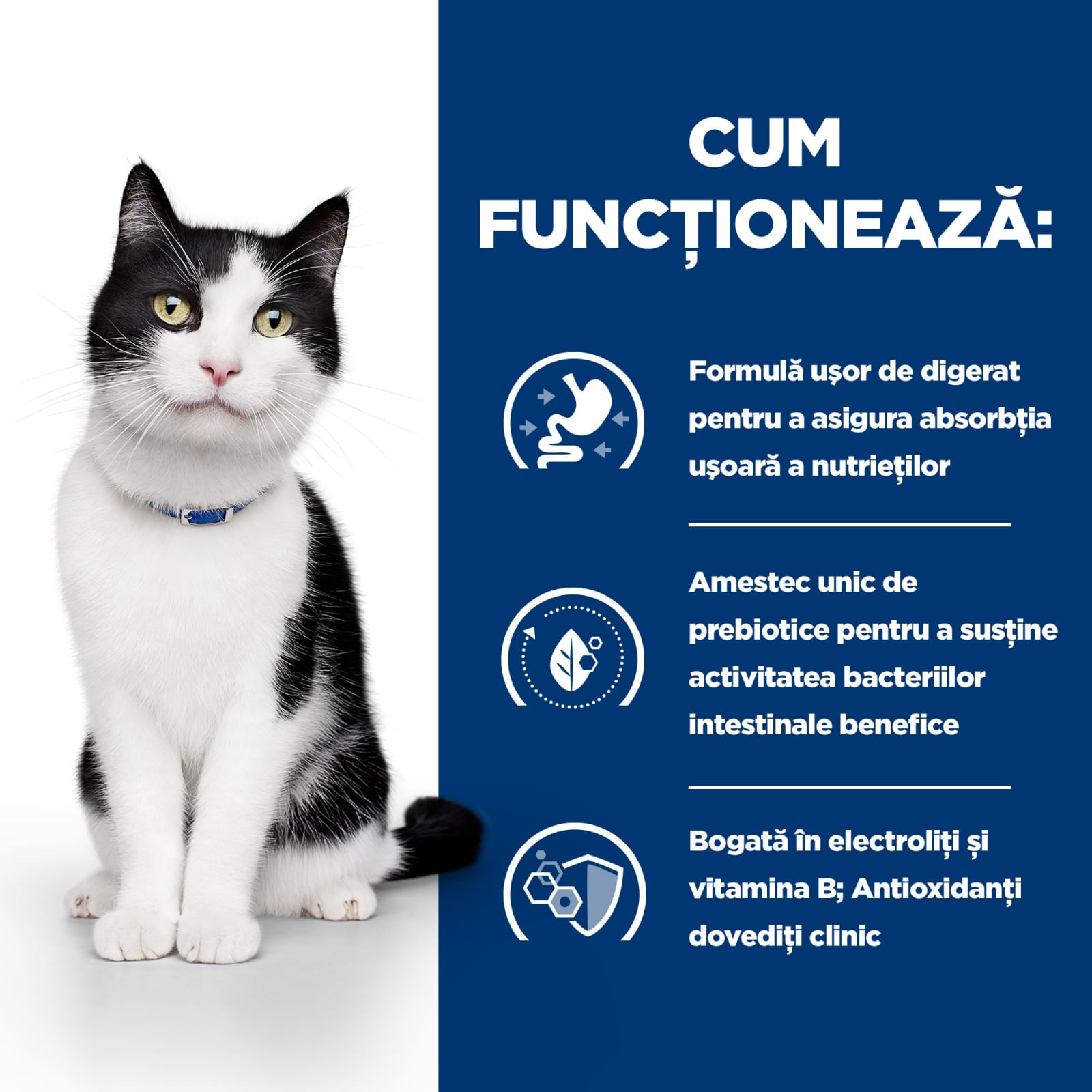 HILL'S Prescription Diet i/d Sensitive Digestive Care, Somon, dietă veterinară pisici, plic hrană umedă, sistem digestiv, 85g x 12buc - poza 2