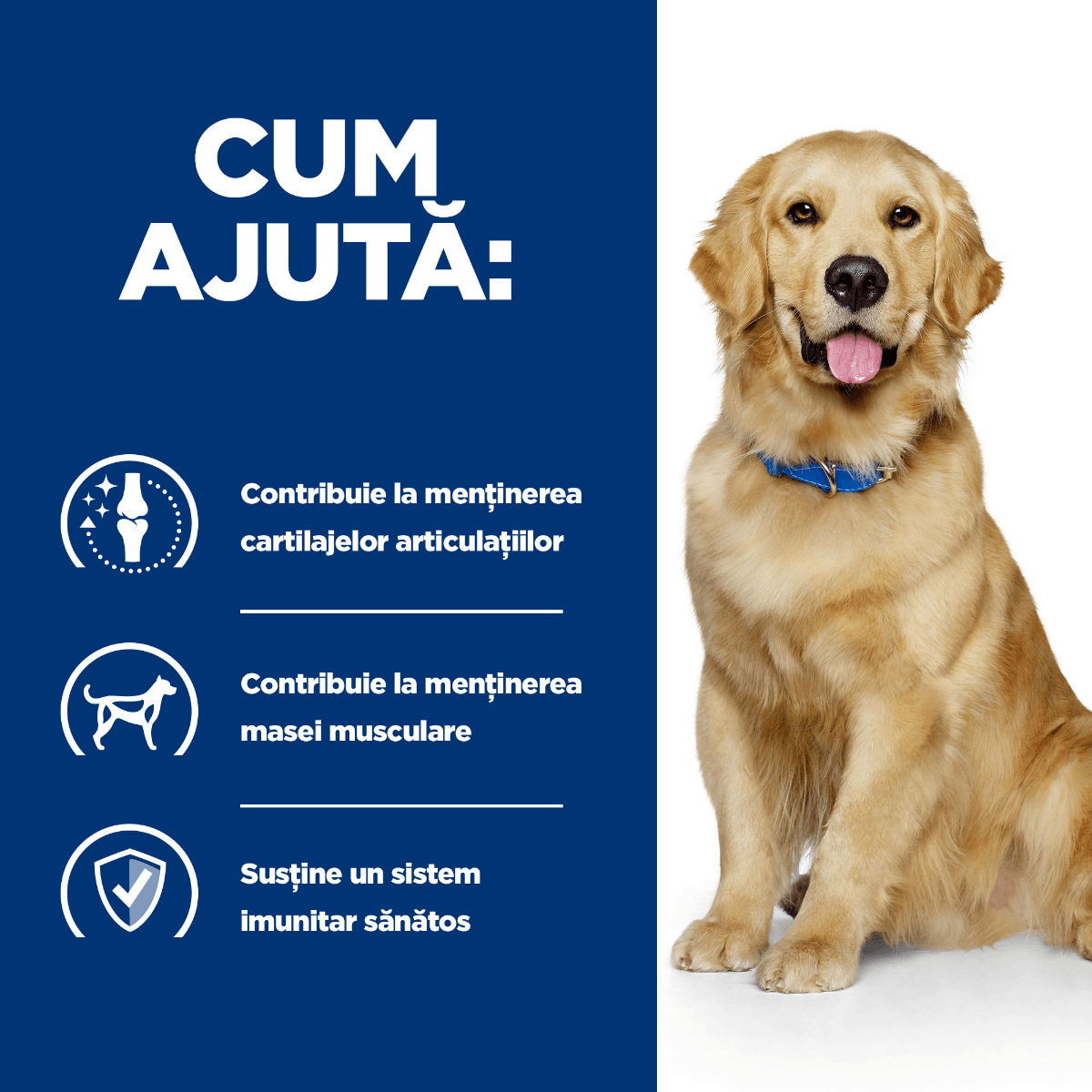 HILL'S Prescription Diet j/d Mobility, Pui, dietă veterinară câini, conservă hrană umedă, afecțiuni articulare, 370g - poza 3