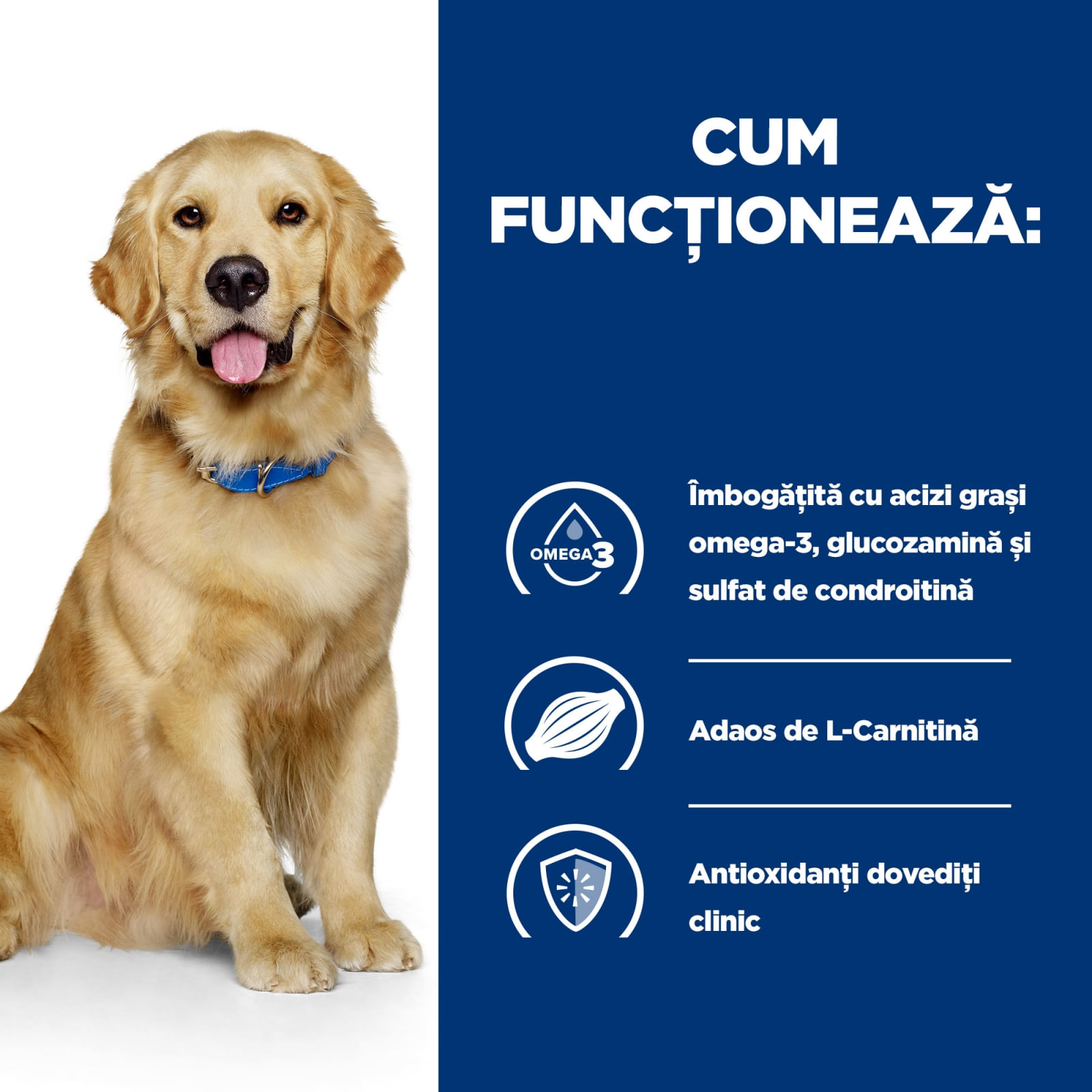HILL'S Prescription Diet j/d Mobility, Pui, dietă veterinară câini, hrană uscată, afecțiuni articulare HILL'S Prescription Diet j/d Mobility, Pui, dietă veterinară câini, hrană uscată, sistem articular, 12kg - poza 5