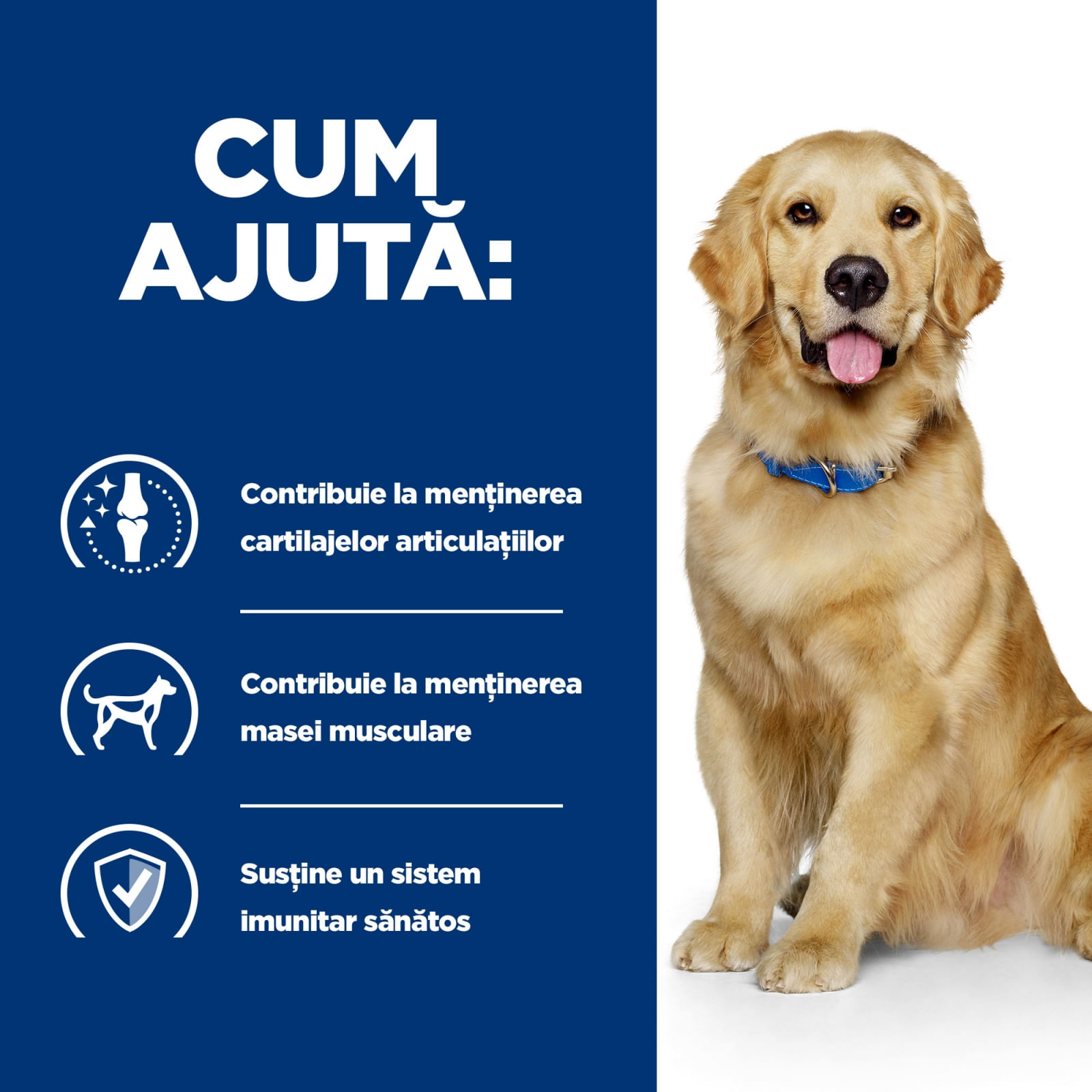 HILL'S Prescription Diet j/d Mobility, Pui, dietă veterinară câini, hrană uscată, afecțiuni articulare HILL'S Prescription Diet j/d Mobility, Pui, dietă veterinară câini, hrană uscată, sistem articular, 4kg - poza 4