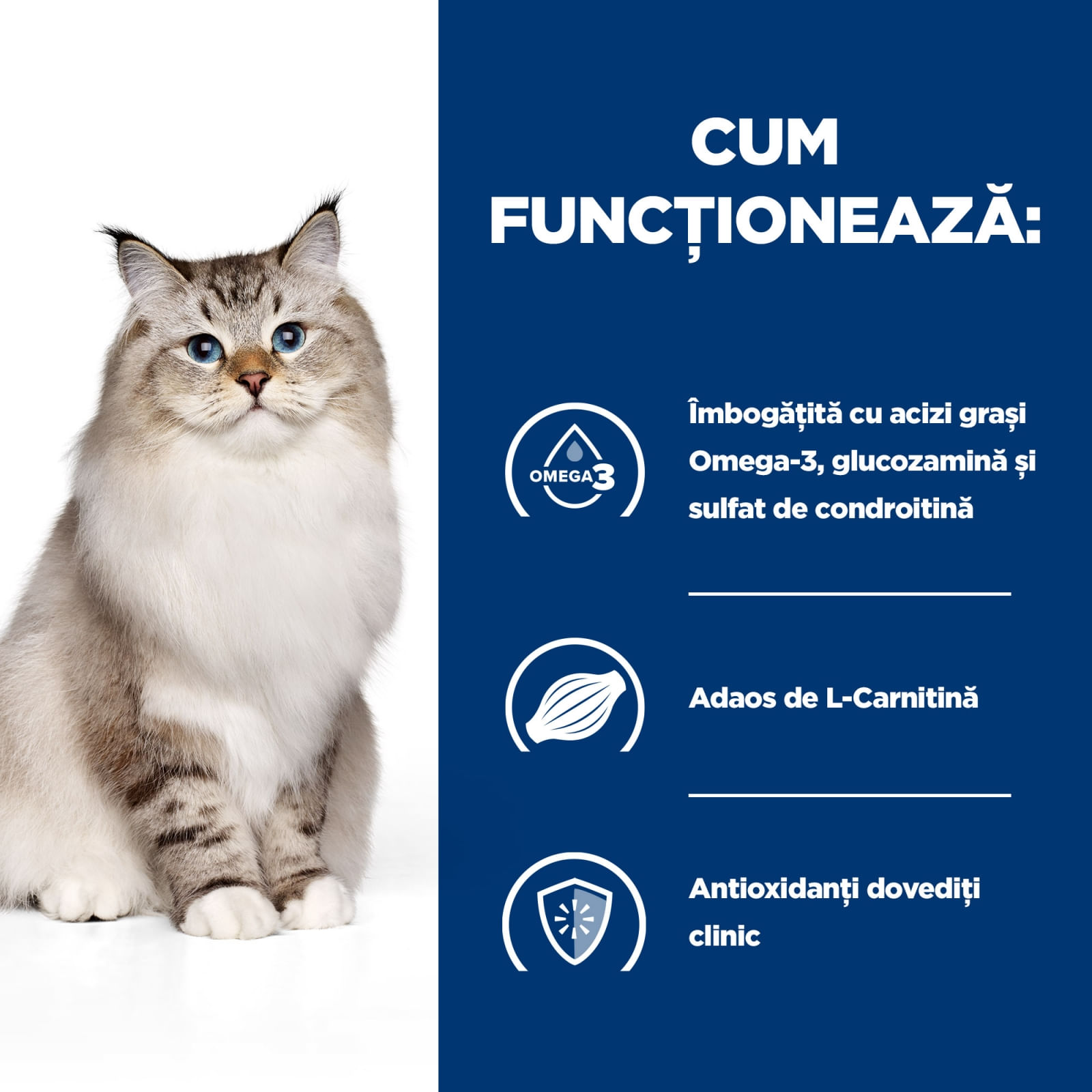 HILL'S Prescription Diet j/d Mobility, Pui, dietă veterinară pisici, hrană uscată, sistem articular, 1.5kg - poza 5