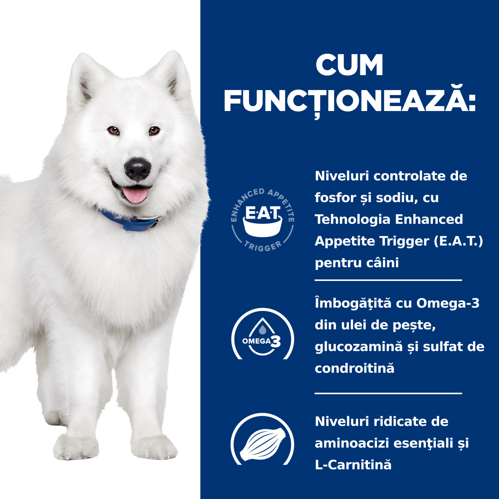 HILL'S Prescription Diet k/d+j/d Kidney Care + Mobility, dietă veterinară câini, hrană uscată, afecțiuni renale și articulare HILL'S Prescription Diet k/d+j/d Kidney Care + Mobility, dietă veterinară câini, hrană uscată, sistem renal, siste - poza 5