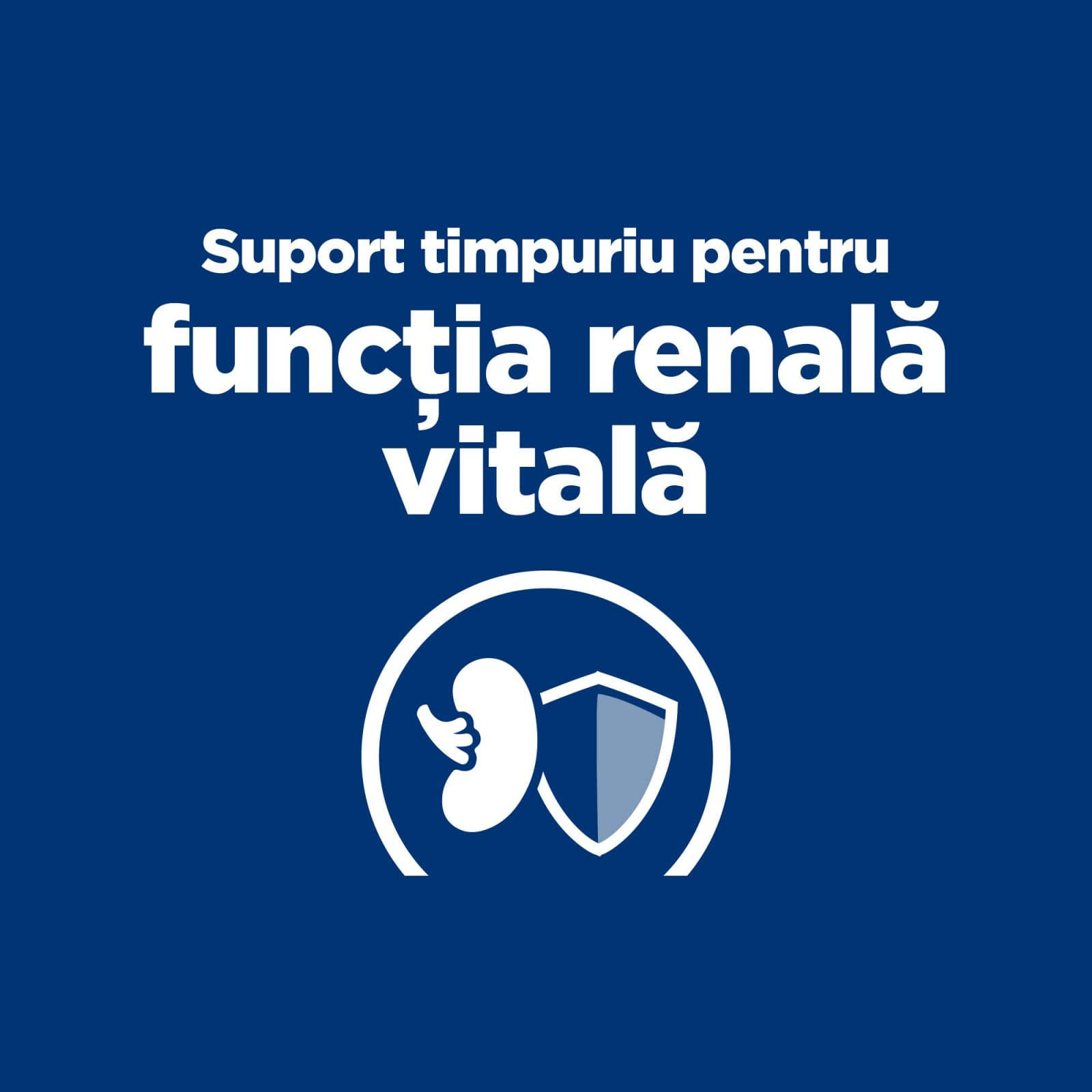 HILL'S Prescription Diet k/d Kidney Care Early Stage, dietă veterinară câini, hrană uscată, afecțiuni renale HILL'S Prescription Diet k/d Kidney Care Early Stage, dietă veterinară câini, hrană uscată, sistem renal, 12kg - poza 4