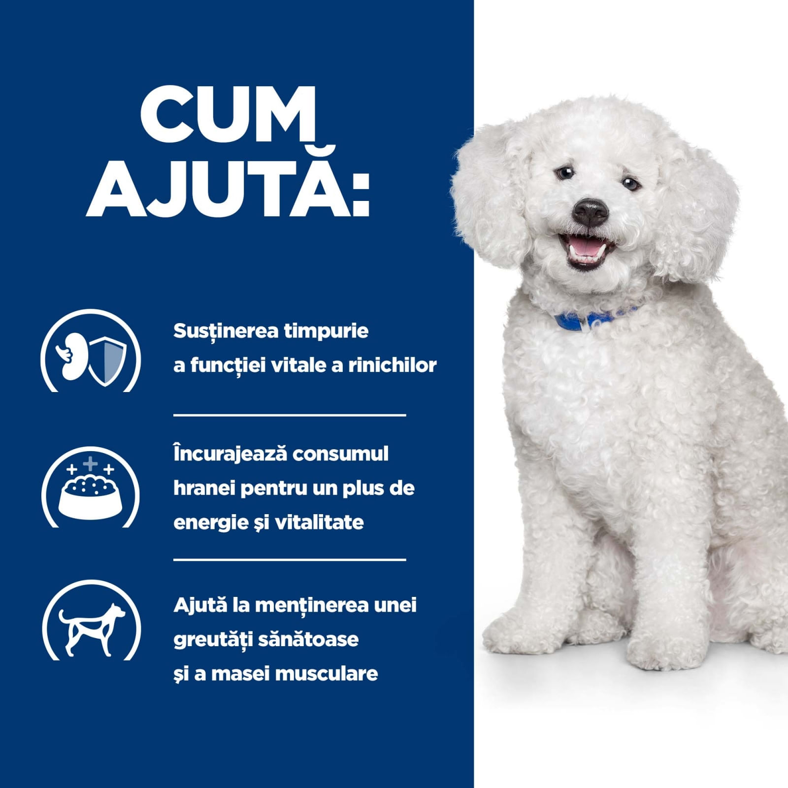 HILL'S Prescription Diet k/d Kidney Care Early Stage, dietă veterinară câini, hrană uscată, afecțiuni renale HILL'S Prescription Diet k/d Kidney Care Early Stage, dietă veterinară câini, hrană uscată, sistem renal, 12kg - poza 5