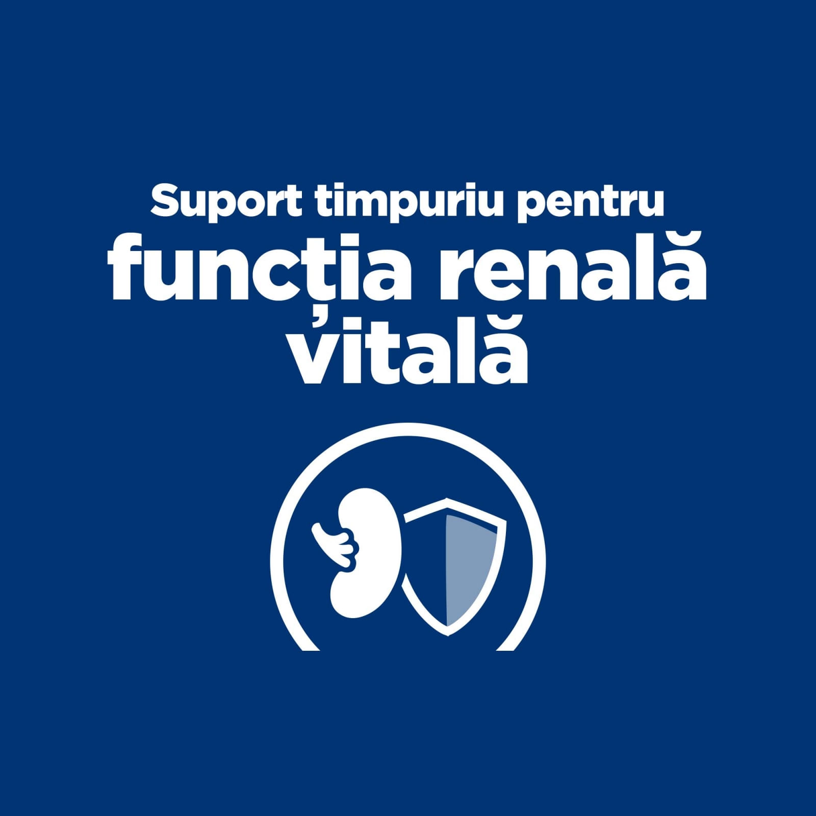 HILL'S Prescription Diet k/d Kidney Care Early Stage, Pui, dietă veterinară pisici, plic hrană umedă, sistem renal, 85g x 12buc - poza 4