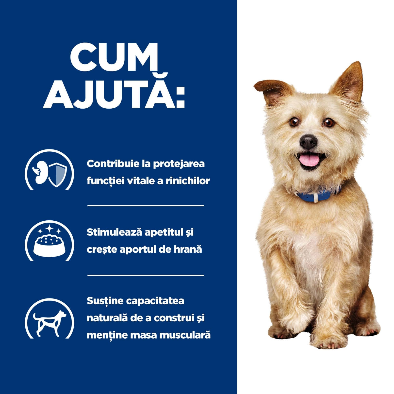 HILL'S Prescription Diet k/d Kidney Care, Pui cu Legume, dietă veterinară câini, conservă hrană umedă, afecțiuni renale HILL'S Prescription Diet k/d Kidney Care, Pui cu Legume, dietă veterinară câini, conservă hrană umedă, sistem renal, (în - poza 4