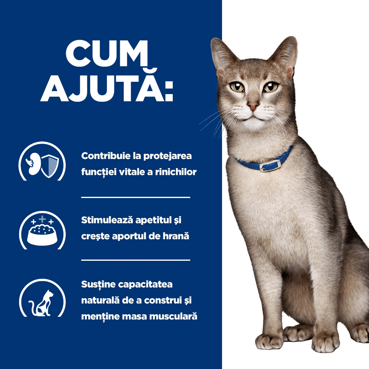 HILL'S Prescription Diet k/d Kidney Care, Pui cu Legume, dietă veterinară pisici, conservă hrană umedă, afecțiuni renale, 82g - poza 5