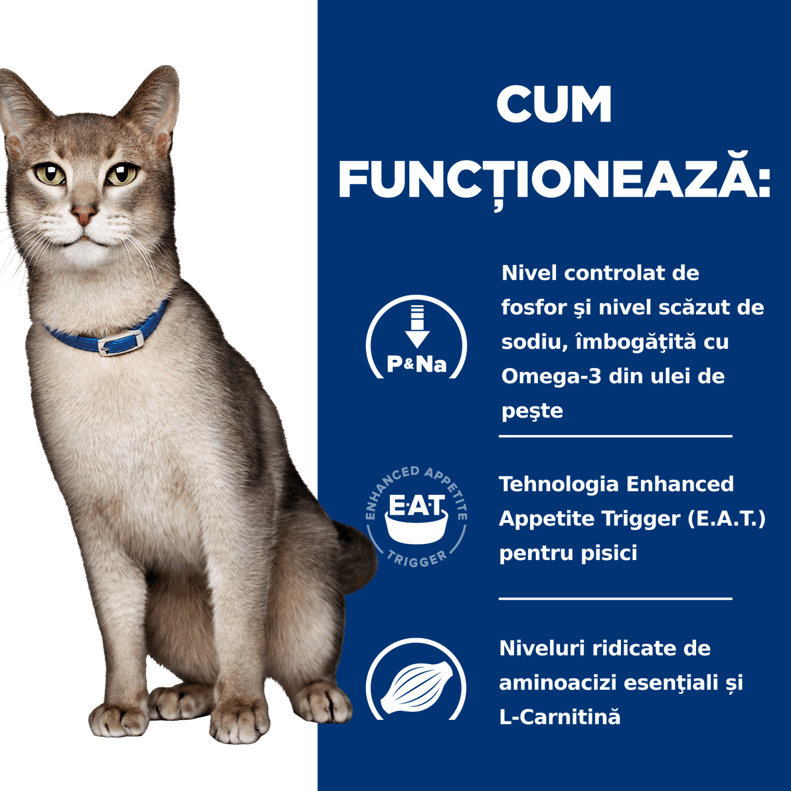 HILL'S Prescription Diet k/d Kidney Care, Pui, dietă veterinară pisici, hrană uscată, afecțiuni renale HILL'S Prescription Diet k/d Kidney Care, Pui, dietă veterinară pisici, hrană uscată, sistem renal, 1.5kg - poza 4