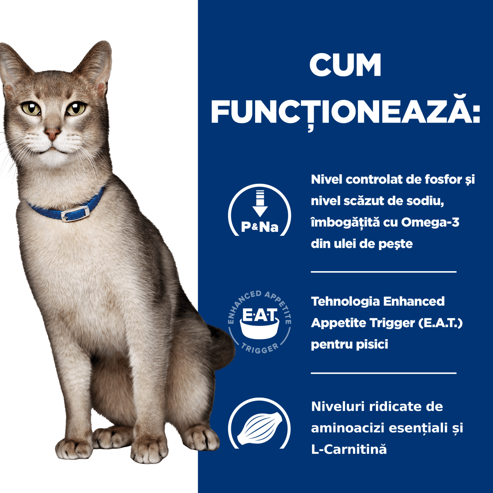 HILL'S Prescription Diet k/d Kidney Care, Pui, dietă veterinară pisici, plic hrană umedă, sistem renal, (în sos), 85g x 12buc - poza 5