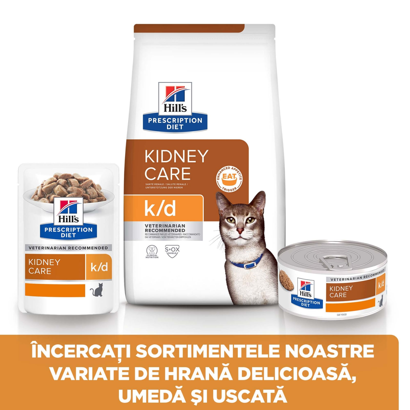 HILL'S Prescription Diet k/d Kidney Care, Somon, dietă veterinară pisici, plic hrană umedă, sistem renal, 85g x 12buc - poza 3