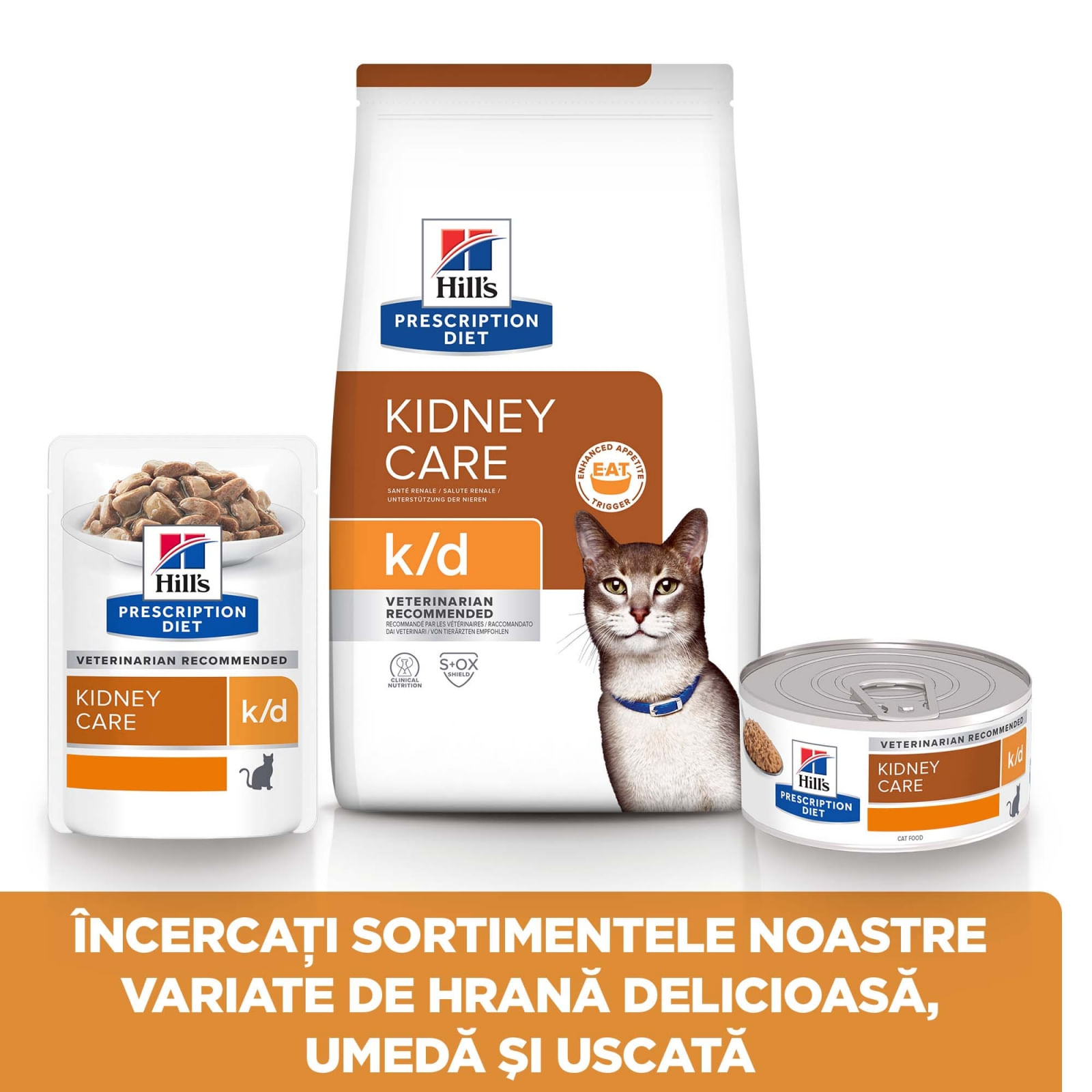 HILL'S Prescription Diet k/d Kidney Care, Ton, dietă veterinară pisici, hrană uscată, afecțiuni renale HILL'S Prescription Diet k/d Kidney Care, Ton, dietă veterinară pisici, hrană uscată, sistem renal, 1.5kg - poza 3