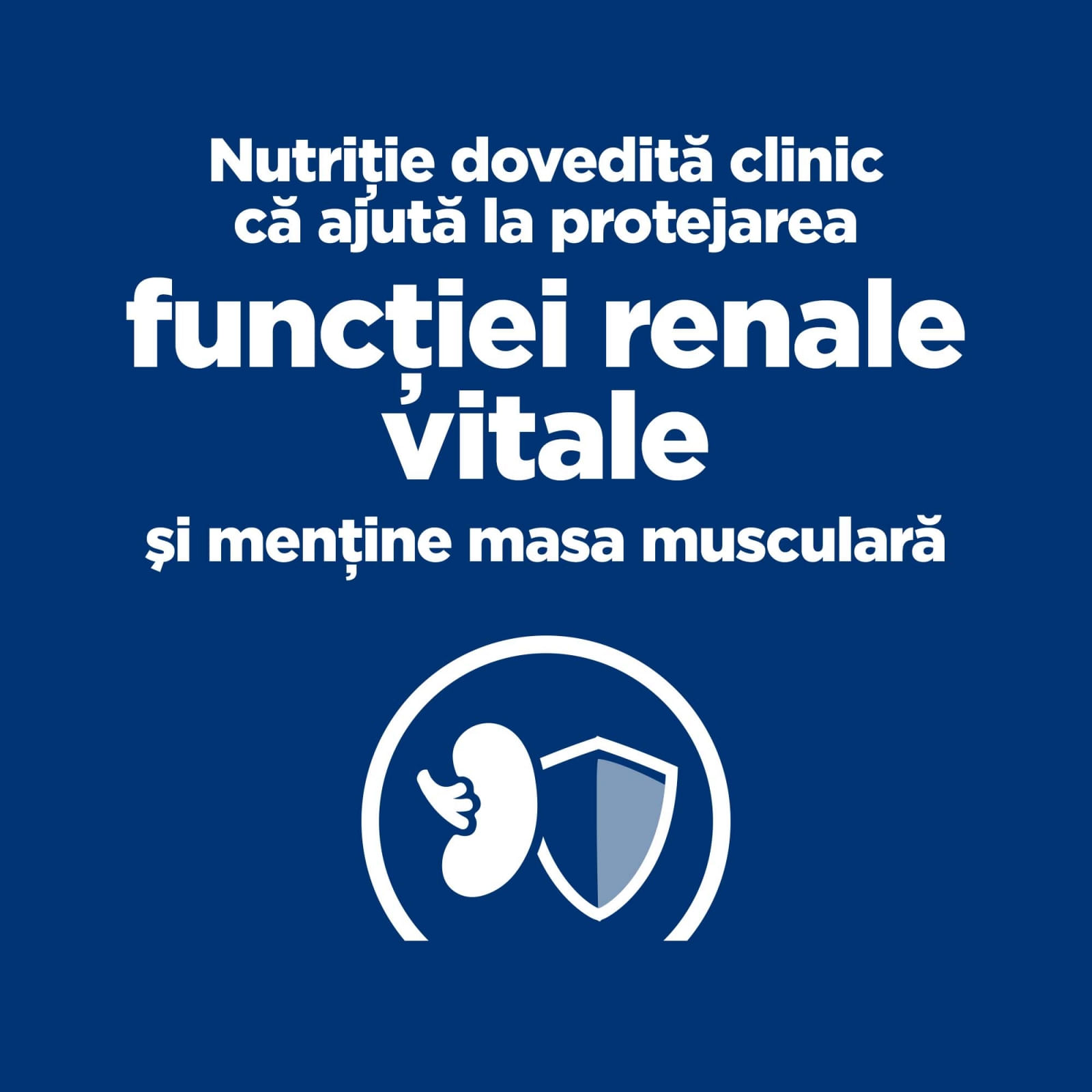 HILL'S Prescription Diet k/d Kidney Care, Ton, dietă veterinară pisici, hrană uscată, afecțiuni renale HILL'S Prescription Diet k/d Kidney Care, Ton, dietă veterinară pisici, hrană uscată, sistem renal, 3kg - poza 2