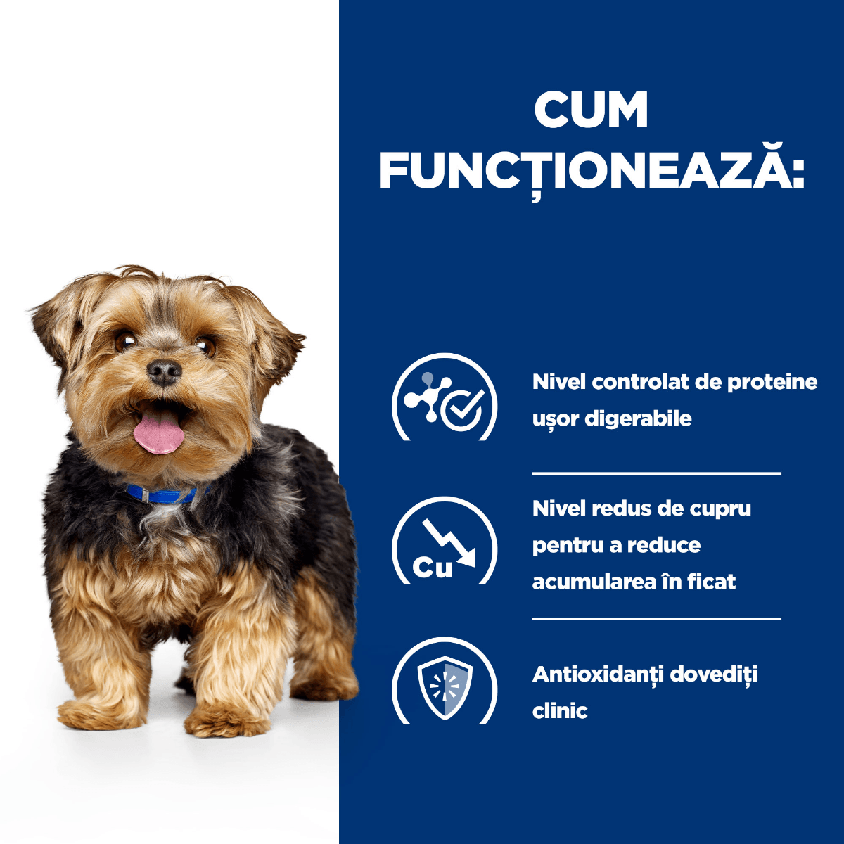 HILL'S Prescription Diet l/d, dietă veterinară câini, conservă hrană umedă, afecțiuni hepatice, 370g - poza 5