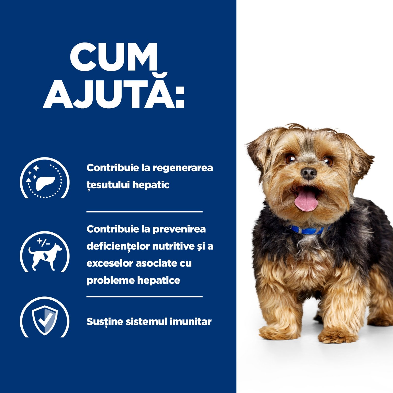 HILL'S Prescription Diet l/d, dietă veterinară câini, hrană uscată, afecțiuni hepatice HILL'S Prescription Diet l/d Liver Care, dietă veterinară câini, hrană uscată, sistem hepatic, 1.5kg - poza 4