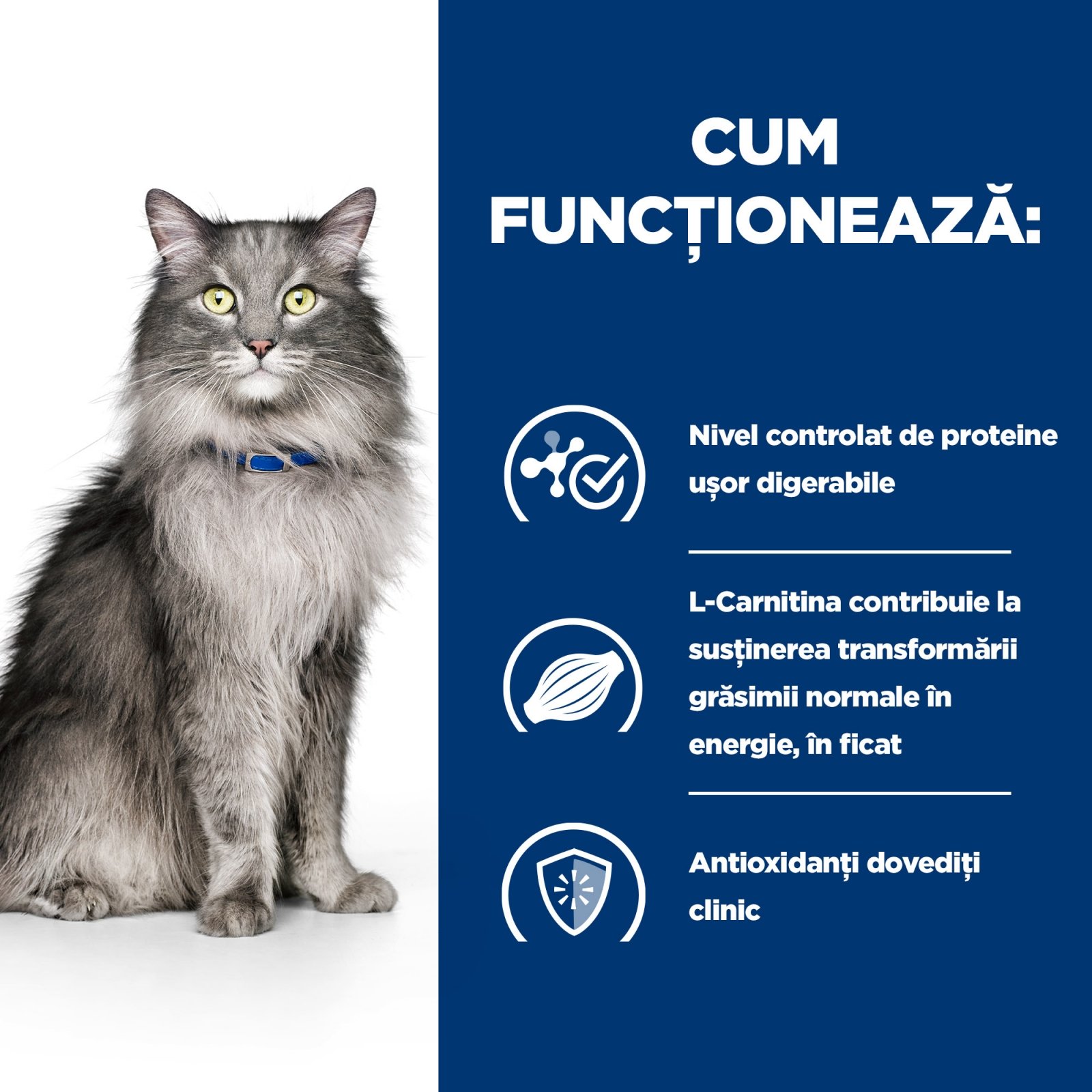 HILL'S Prescription Diet l/d Liver Care, Pui, dietă veterinară pisici, hrană uscată, sistem hepatic, 1.5kg - poza 2