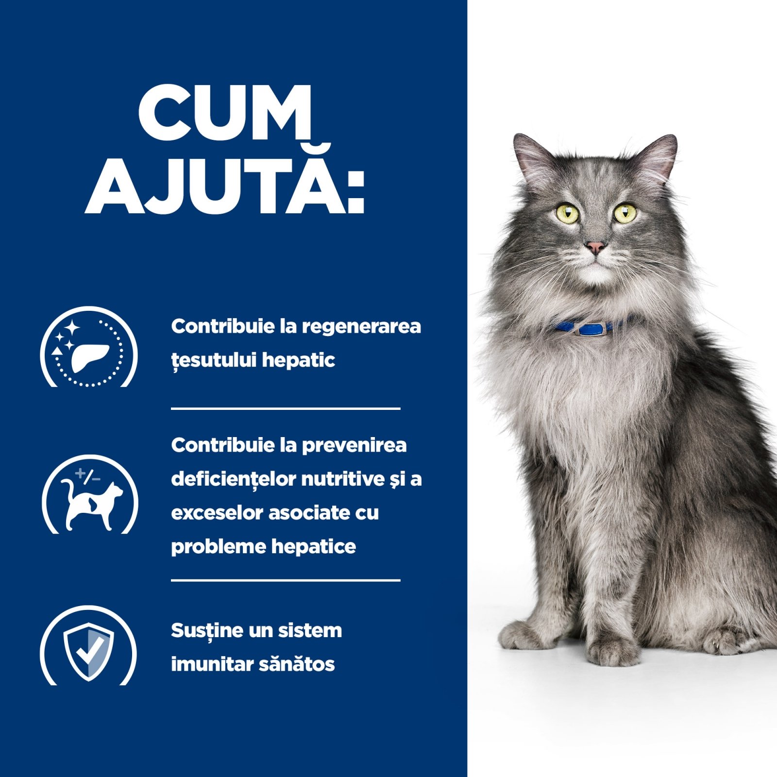 HILL'S Prescription Diet l/d Liver Care, Pui, dietă veterinară pisici, hrană uscată, sistem hepatic, 1.5kg - poza 5