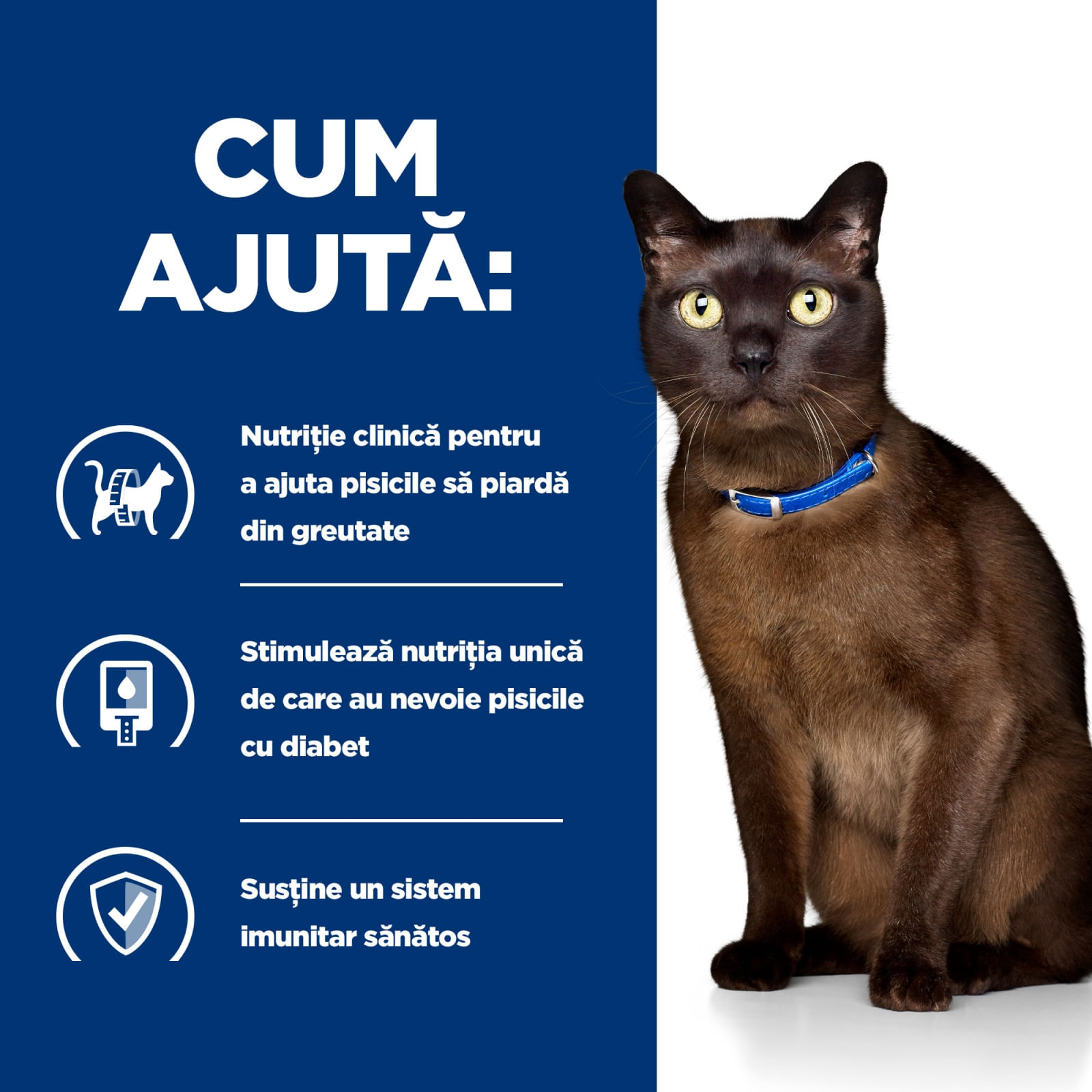 HILL'S Prescription Diet m/d Diabetes Care, Pui, dietă veterinară pisici, hrană uscată, afecțiuni metabolice (diabet) HILL'S Prescription Diet m/d Diabetes Care, Pui, dietă veterinară pisici, hrană uscată, metabolism (obezitate si diabet),  - poza 5