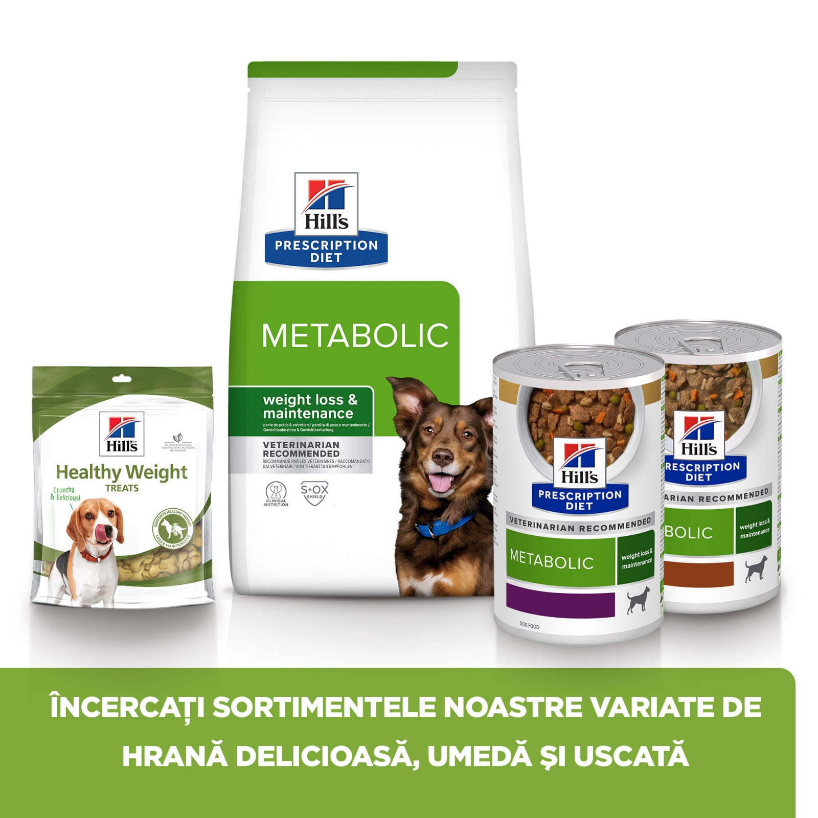 HILL'S Prescription Diet Metabolic, Miel cu Orez, dietă veterinară câini, hrană uscată, afecțiuni metabolice (obezitate) HILL'S Prescription Diet Metabolic, Miel cu Orez, dietă veterinară câini, hrană uscată, metabolism (obezitate si diabet - poza 4