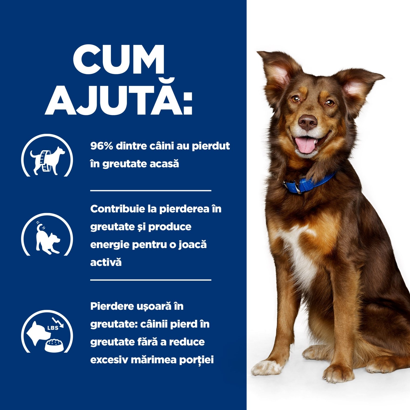 HILL'S Prescription Diet Metabolic, Miel cu Orez, dietă veterinară câini, hrană uscată, afecțiuni metabolice (obezitate) HILL'S Prescription Diet Metabolic, Miel cu Orez, dietă veterinară câini, hrană uscată, metabolism (obezitate si diabet - poza 2