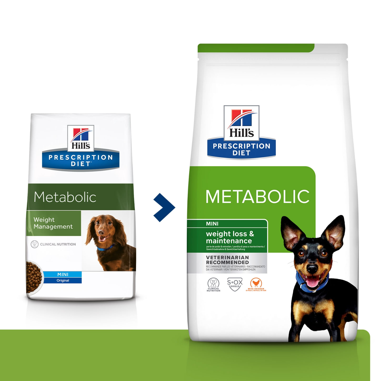 HILL'S Prescription Diet Metabolic Mini, dietă veterinară câini, hrană uscată, afecțiuni metabolice (obezitate) HILL'S Prescription Diet Metabolic Mini, dietă veterinară câini, hrană uscată, metabolism (obezitate si diabet), 1kg - poza 4