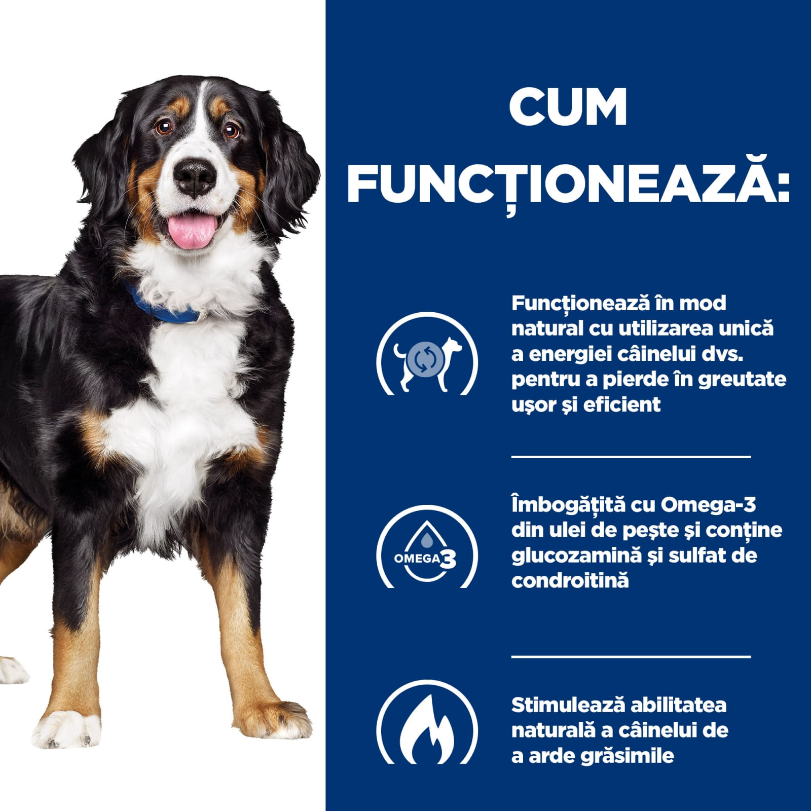 HILL'S Prescription Diet Metabolic + Mobility, Pui, dietă veterinară câini, hrană uscată, afecțiuni metabolice (obezitate) și afecțiuni articulare HILL'S Prescription Diet Metabolic + Mobility, Pui, dietă veterinară câini, hrană uscată, met - poza 5