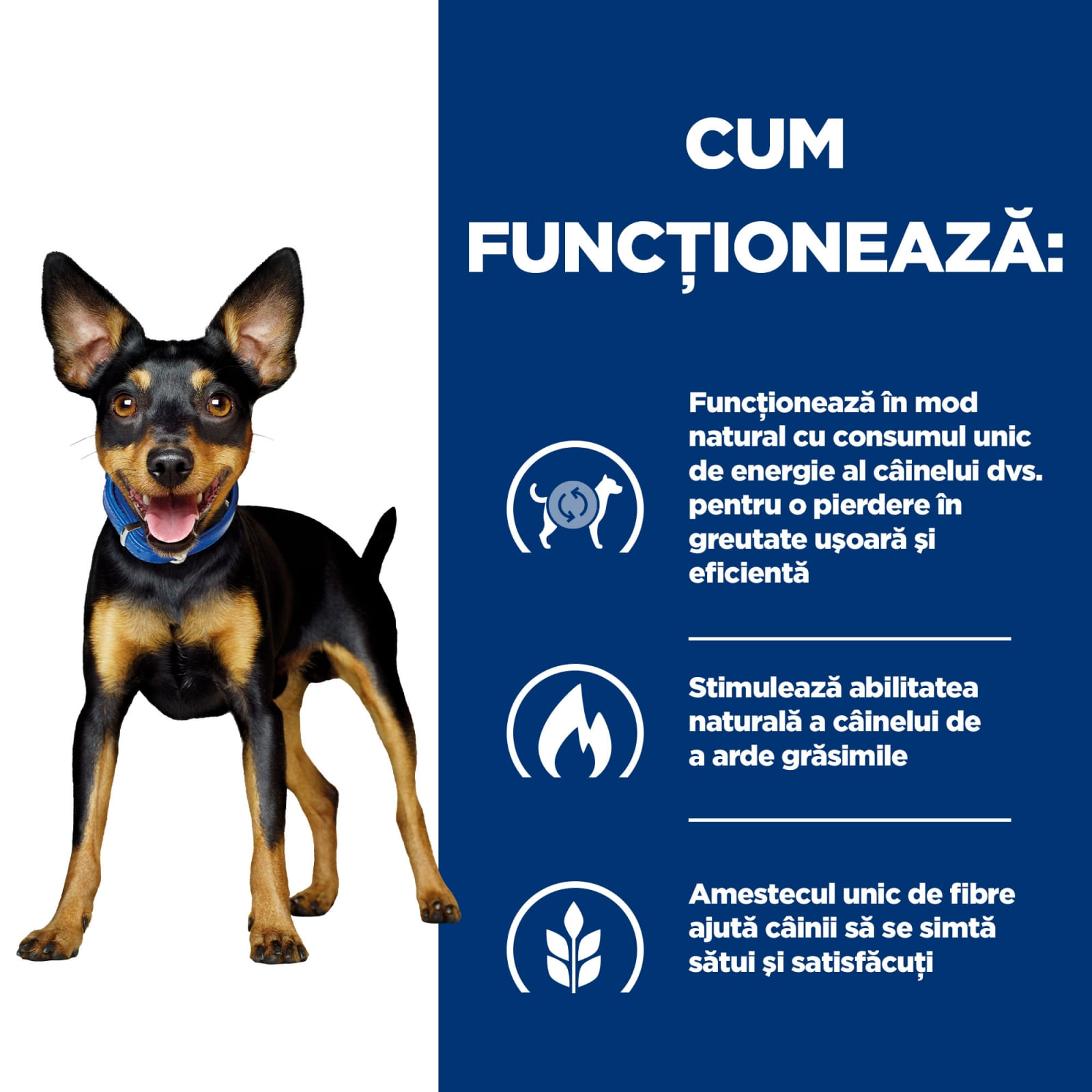 HILL'S Prescription Diet Metabolic, Pui cu Legume, dietă veterinară câini, conservă hrană umedă, afecțiuni metabolice (obezitate) HILL'S Prescription Diet Metabolic Mini, Pui cu Legume, dietă veterinară câini, conservă hrană umedă, metaboli - poza 4